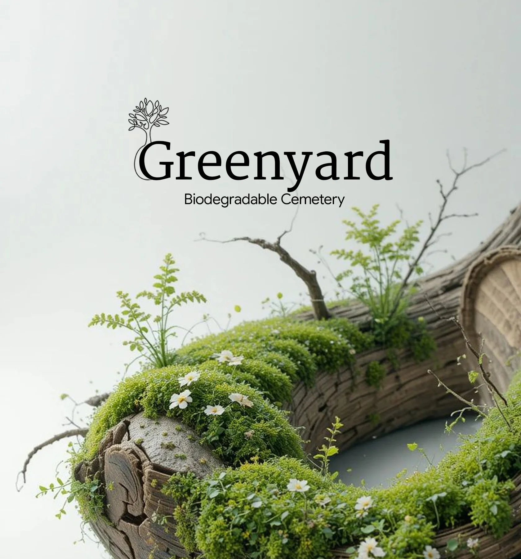 coverimage.jpg