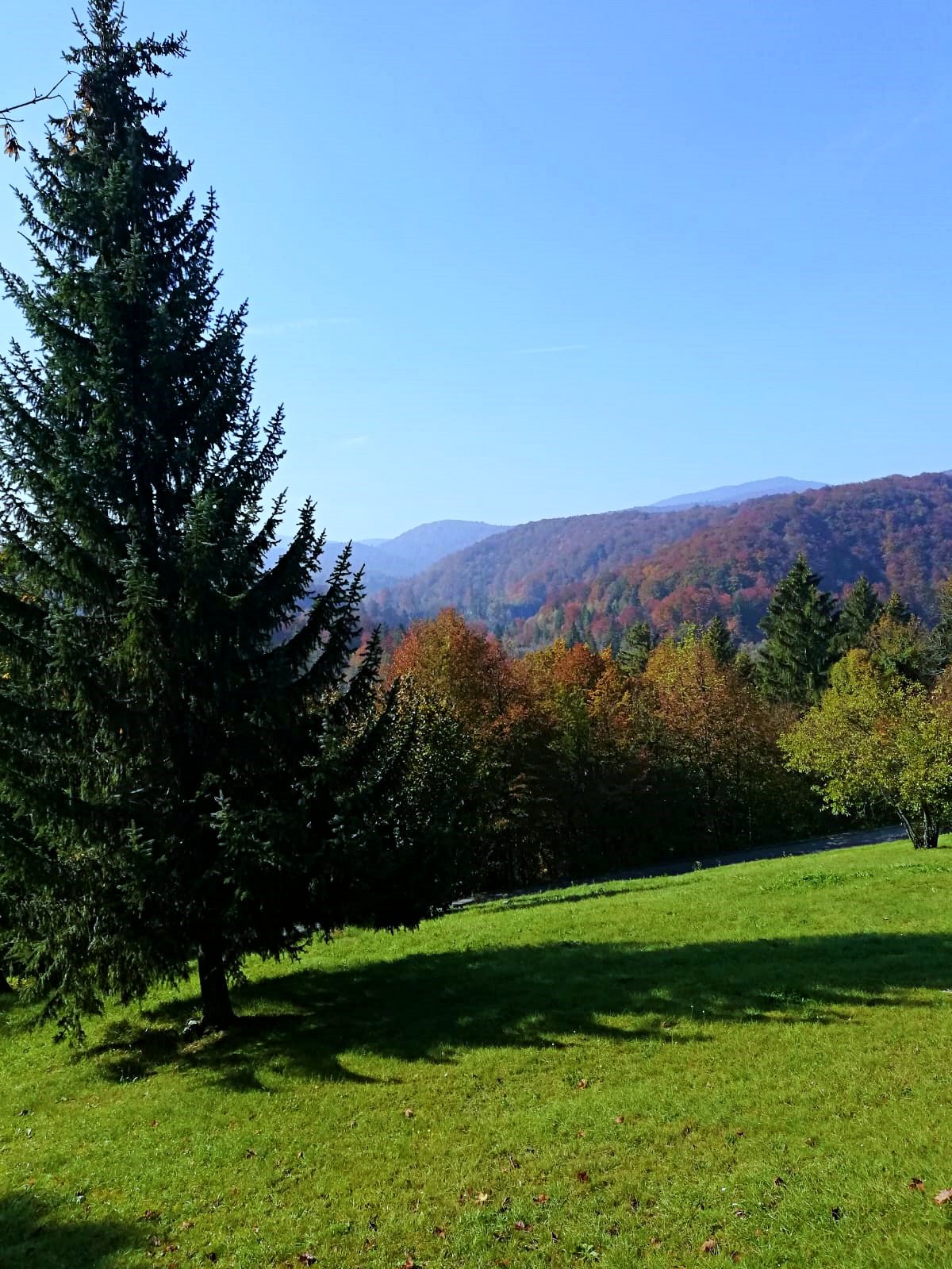 WhatsApp Slika 2024-08-11 u 18.08.10_4a2f4ac3.jpg