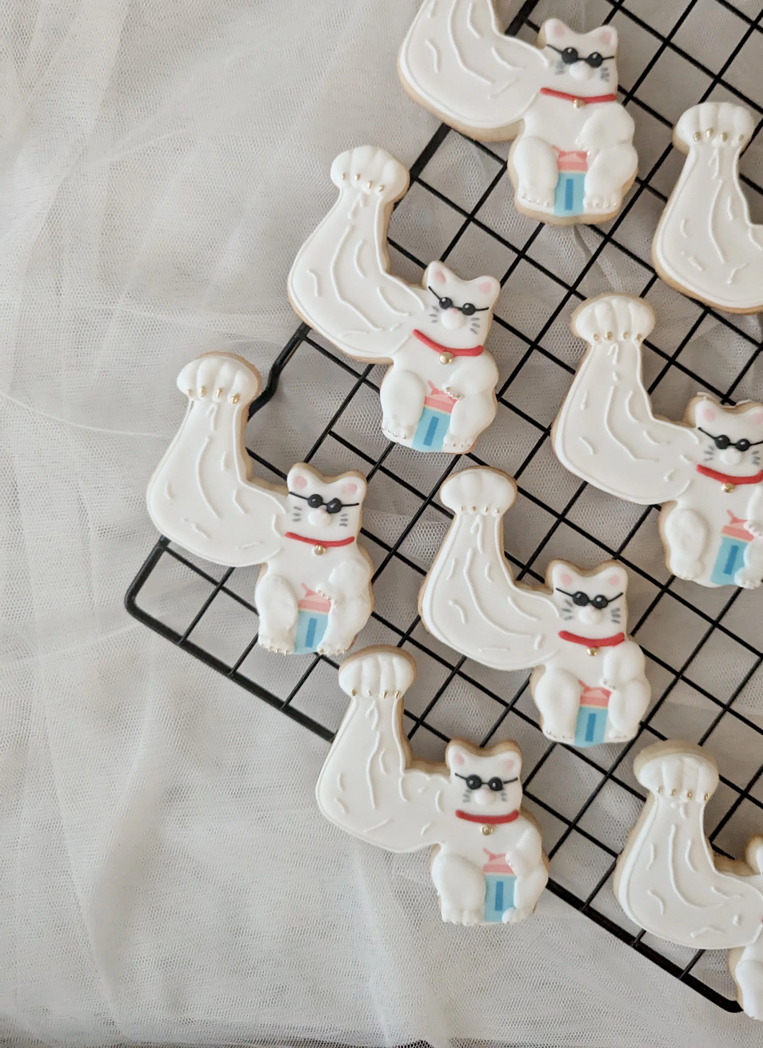 PXL_20241027_145438130 copy.jpg