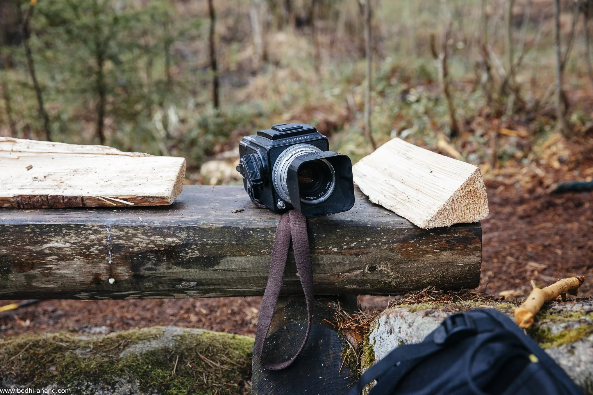 A medium-format camera resting on a log between two pieces of wood in a forest.