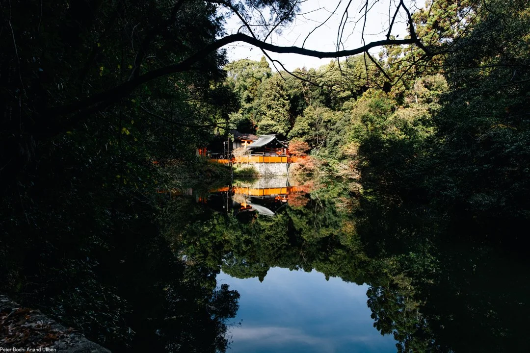 Where Silence Continues to Speak