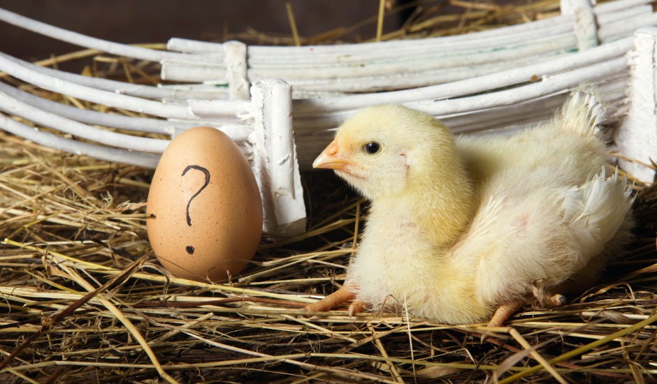 The Chicken or the Egg?