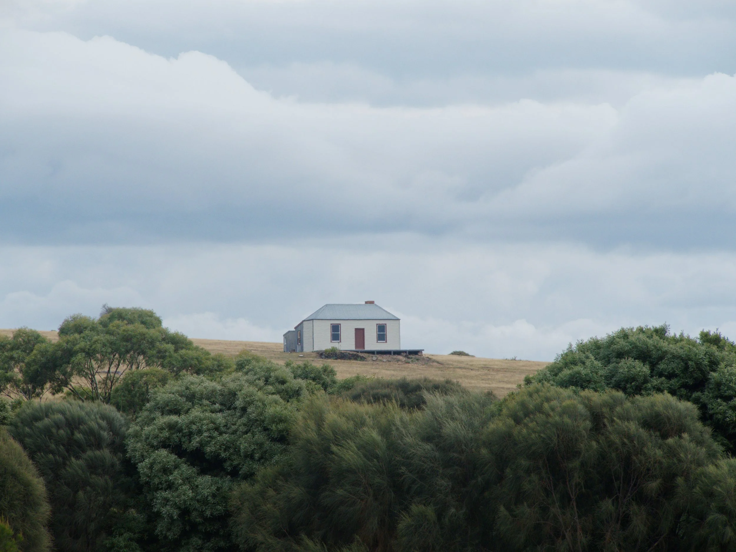 Maria Island  (64)_90percent for upload.jpg