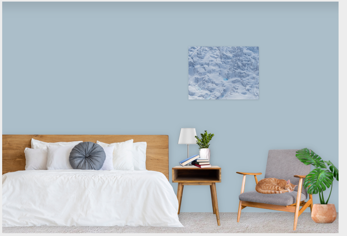 Canvas Visualizer livingroom bedroom with one .png