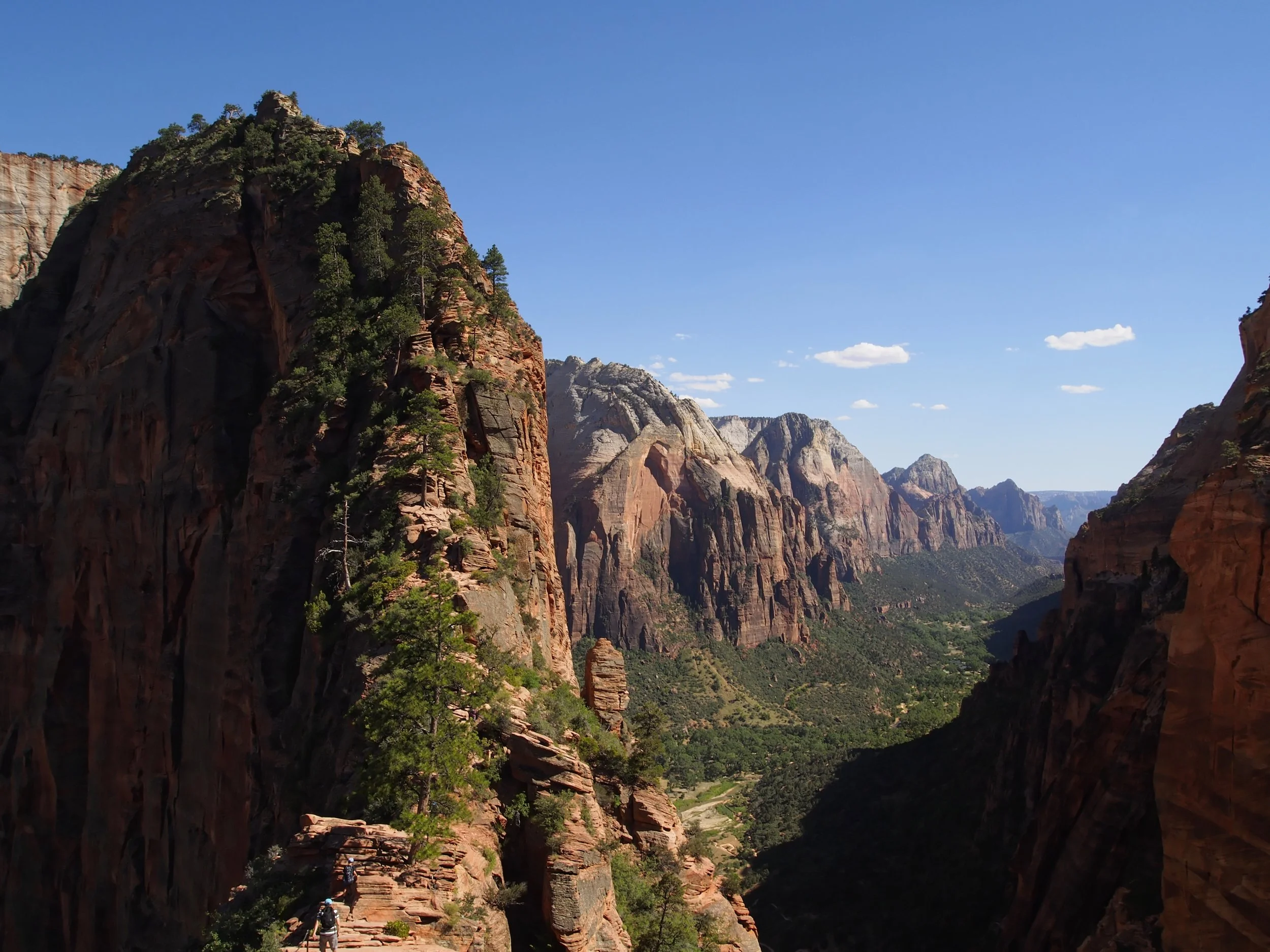 Zion NP (7)_edited.jpg