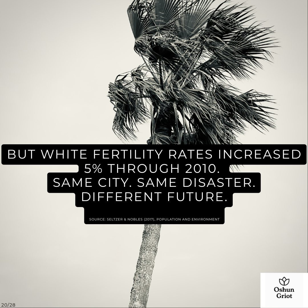 After Hurricane Katrina, New Orleans didn&rsquo;t just lose people.
It lost Black births.

Researchers found Black fertility rates fell and stayed 4% below expected through 2010, while White fertility rates increased 5% above expected.

Same city. Sa