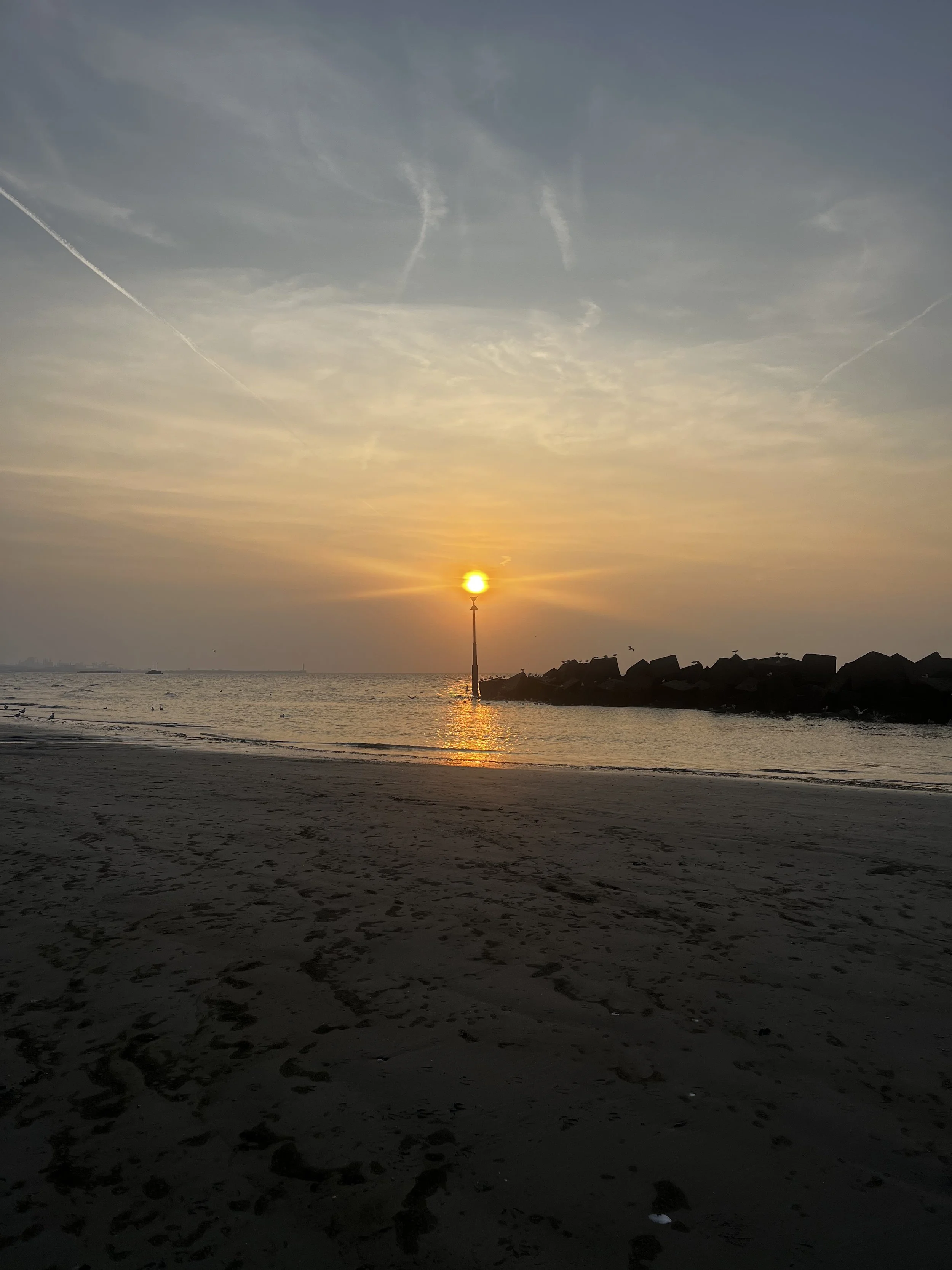 IMG_6823 v.jpg