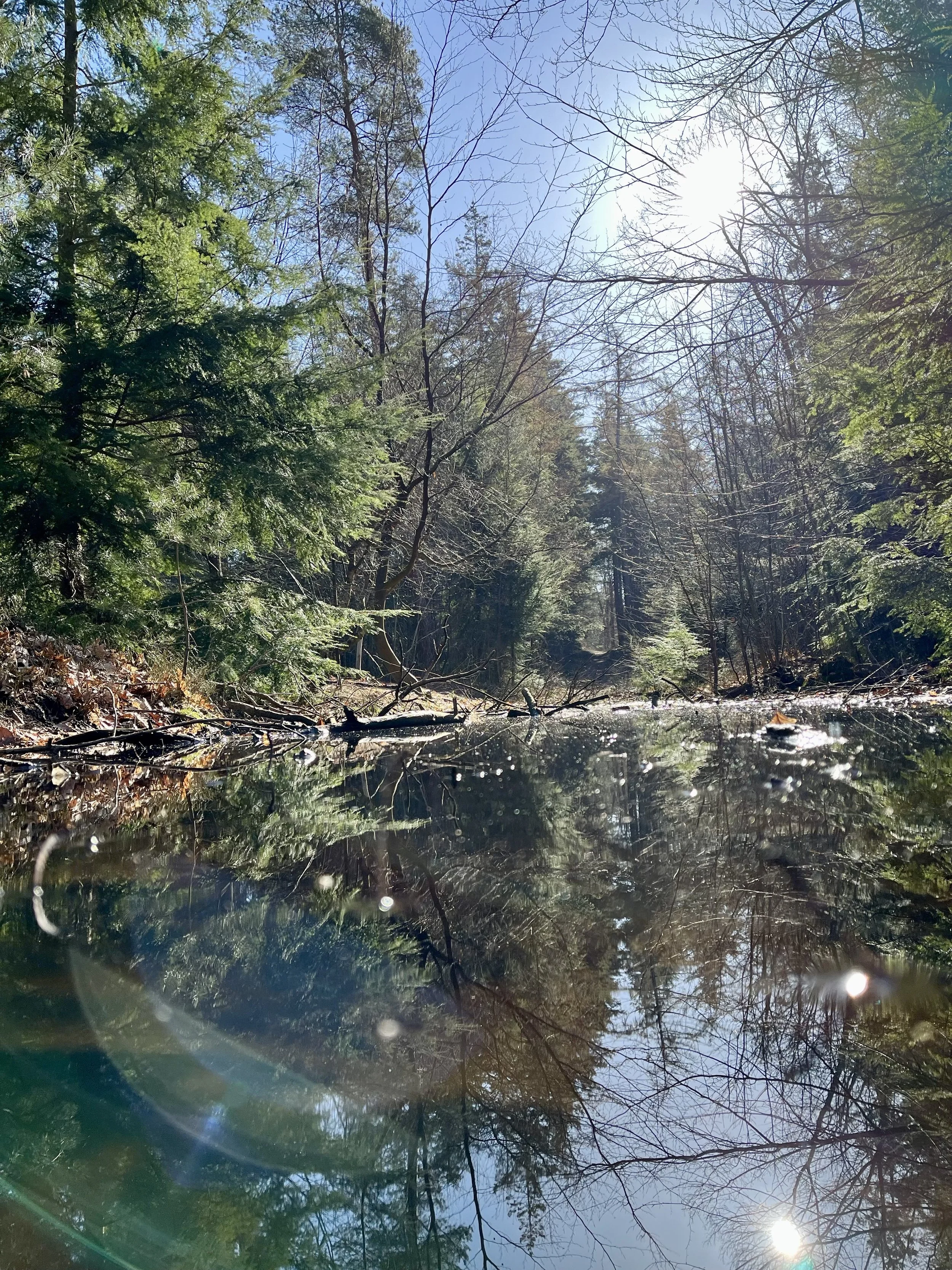 IMG_0616.jpeg