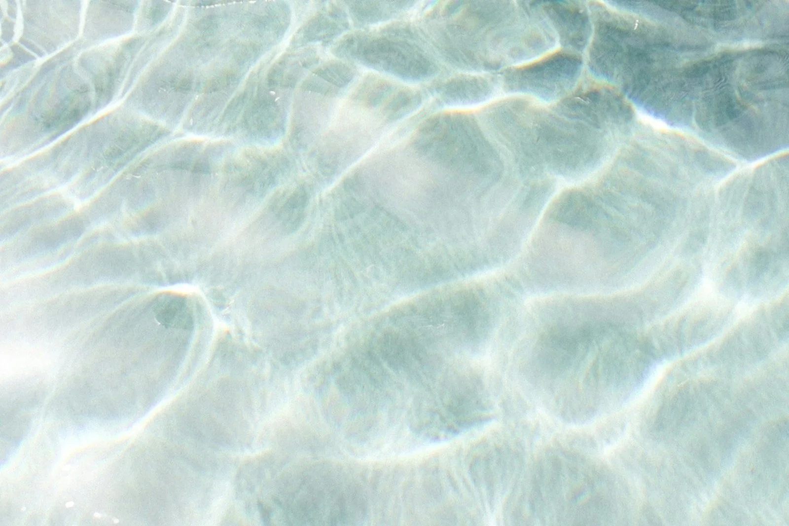 Clear blue water surface with sunlight reflections creating a rippling pattern.