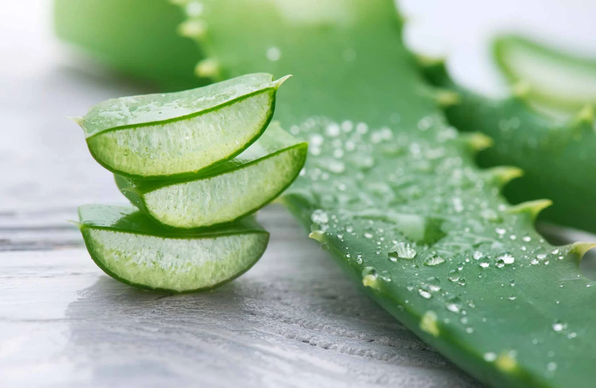 Aloe Vera: The soothing skin ingredient your barrier will thank you for