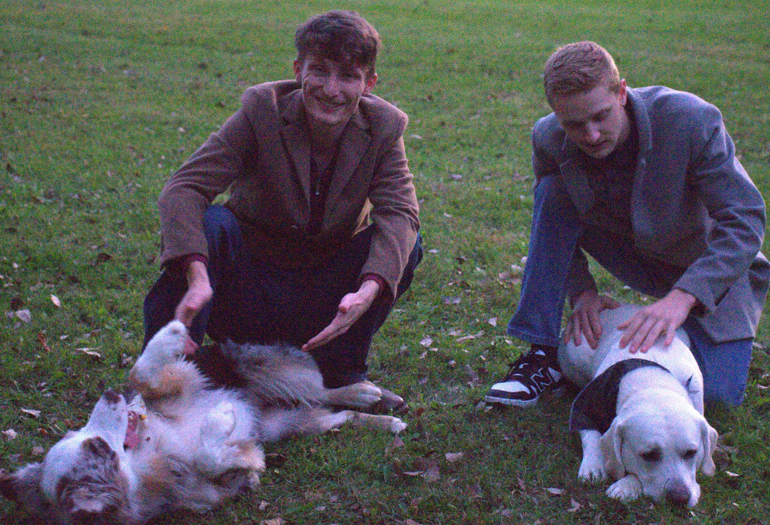 Two men squatting on a grassy field, each with a dog. The man on the left is smiling and has a tan blazer, dark pants, and brown shoes, with a golden retriever lying on its back. The man on the right has a serious expression, gray blazer, blue jeans, and black sneakers, with a black-and-white dog lying down. The field has scattered fallen leaves.