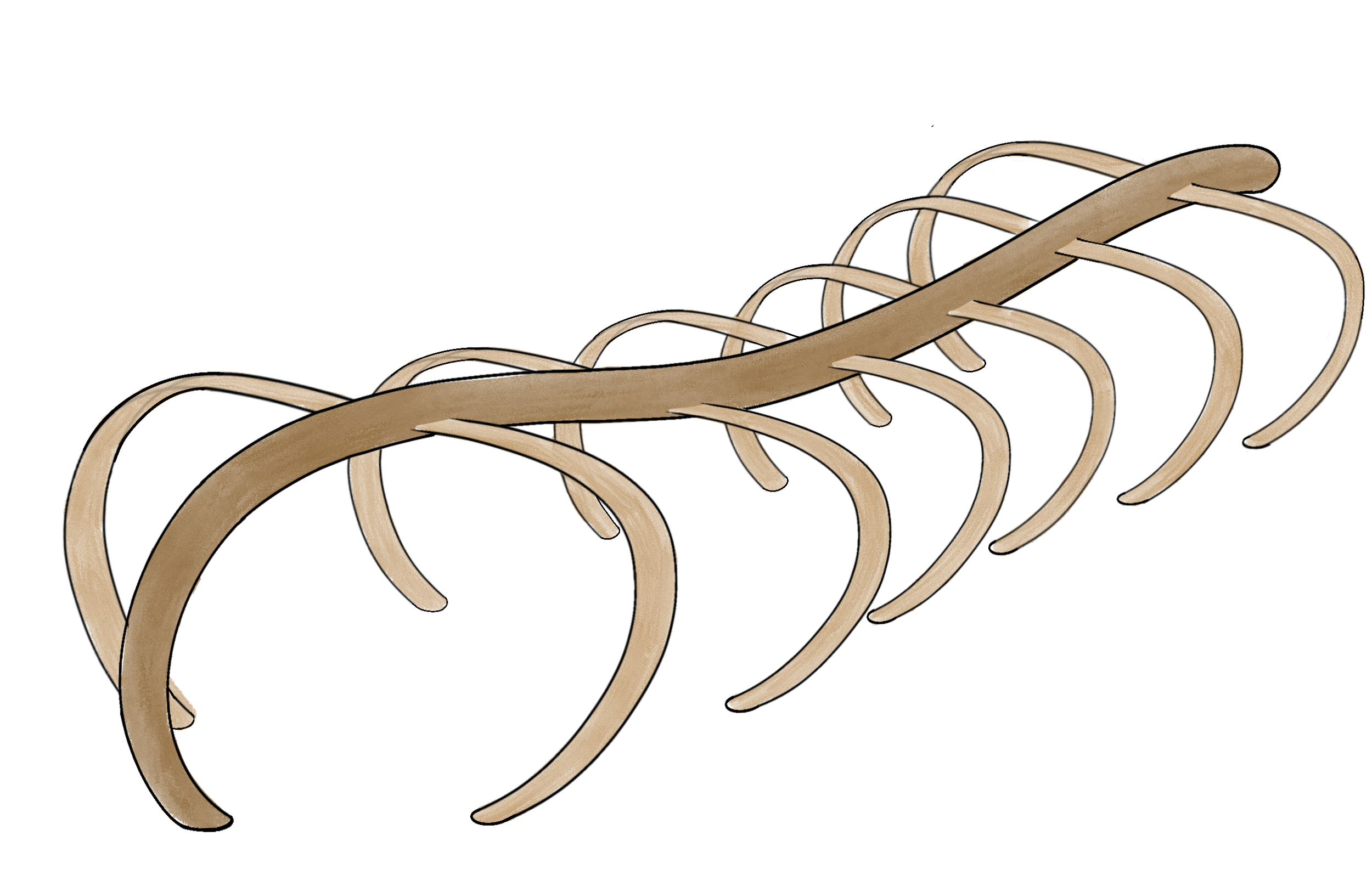 Untitled_Artwork - 2025-03-20T115322.731.png