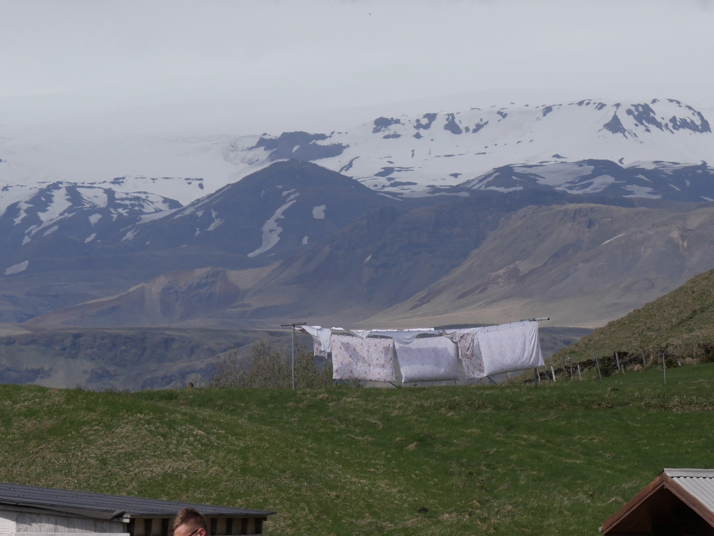 IMG_8986.jpg