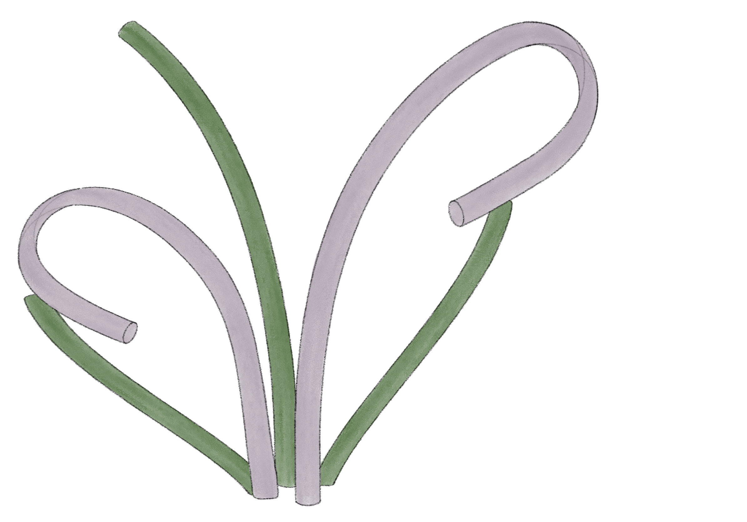 Untitled_Artwork - 2025-03-20T111353.824.png