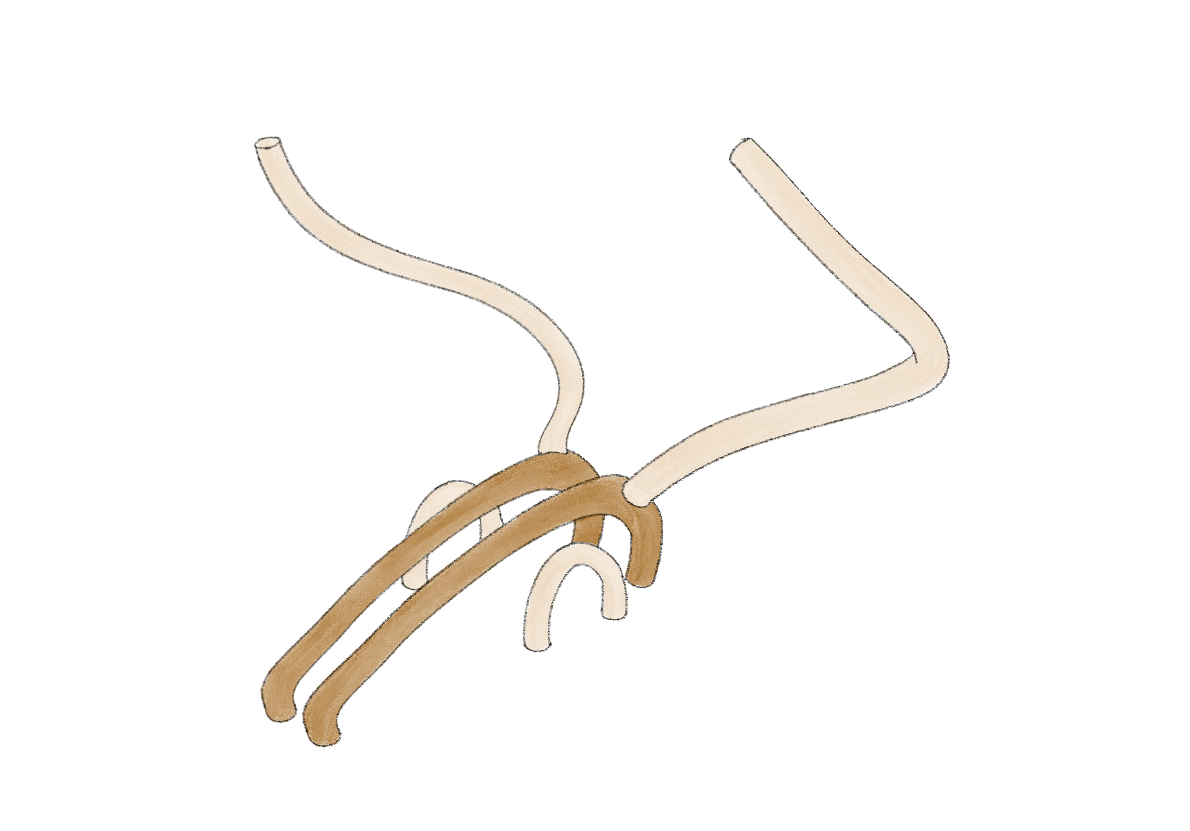 Untitled_Artwork - 2025-03-20T111330.577.png