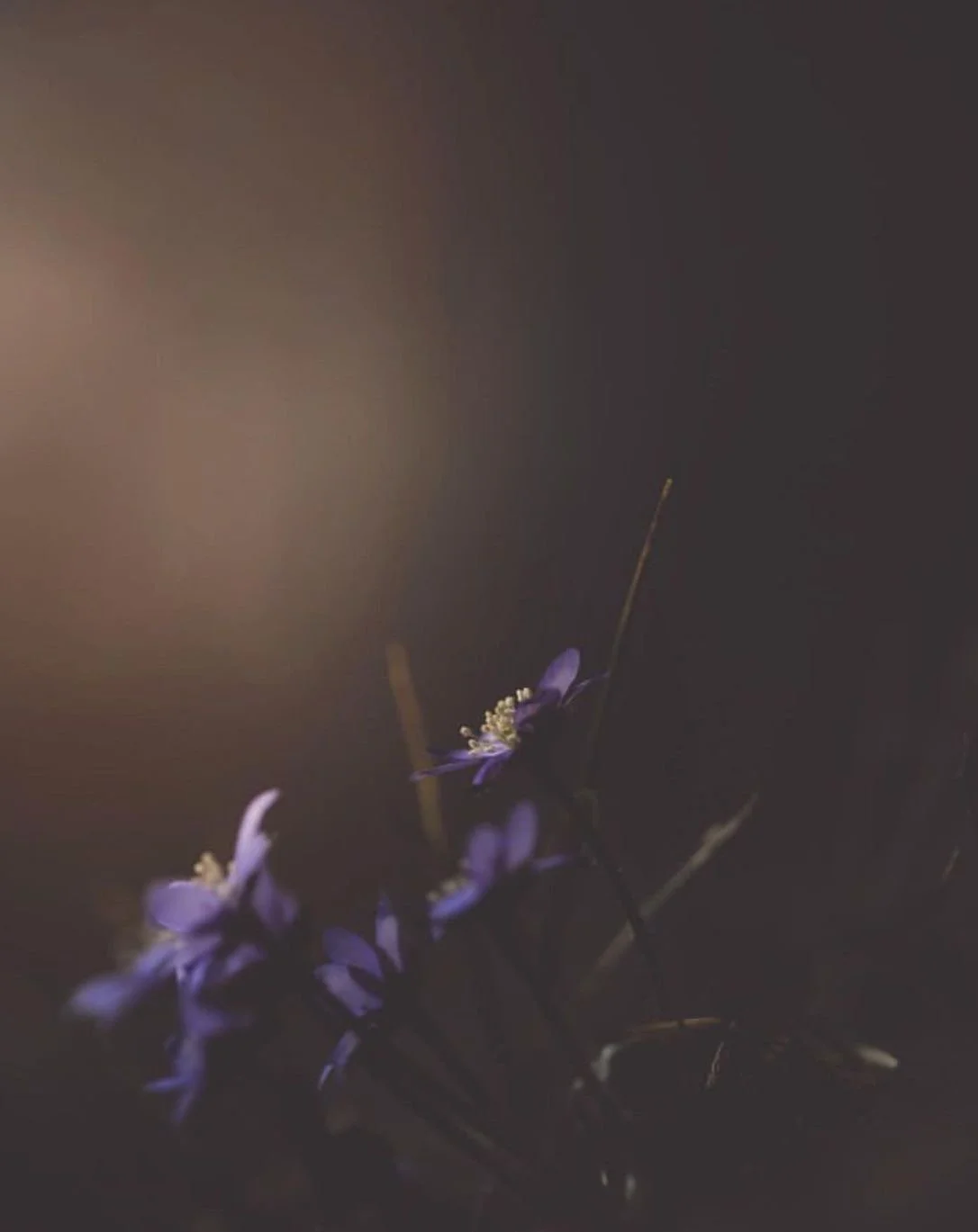 Why Manifesting is Easier for Some People and Harder for Others