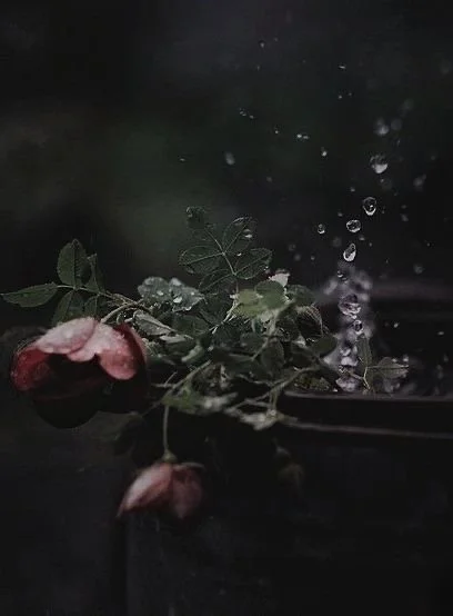 How the State Akin to Sleep Technique Helps You Overcome Manifestation Resistance