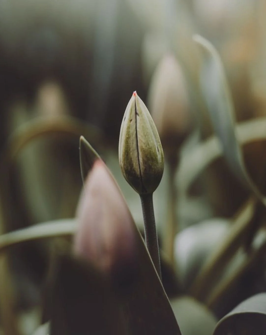 Four Reasons Why Manifesting Isn’t Working For You