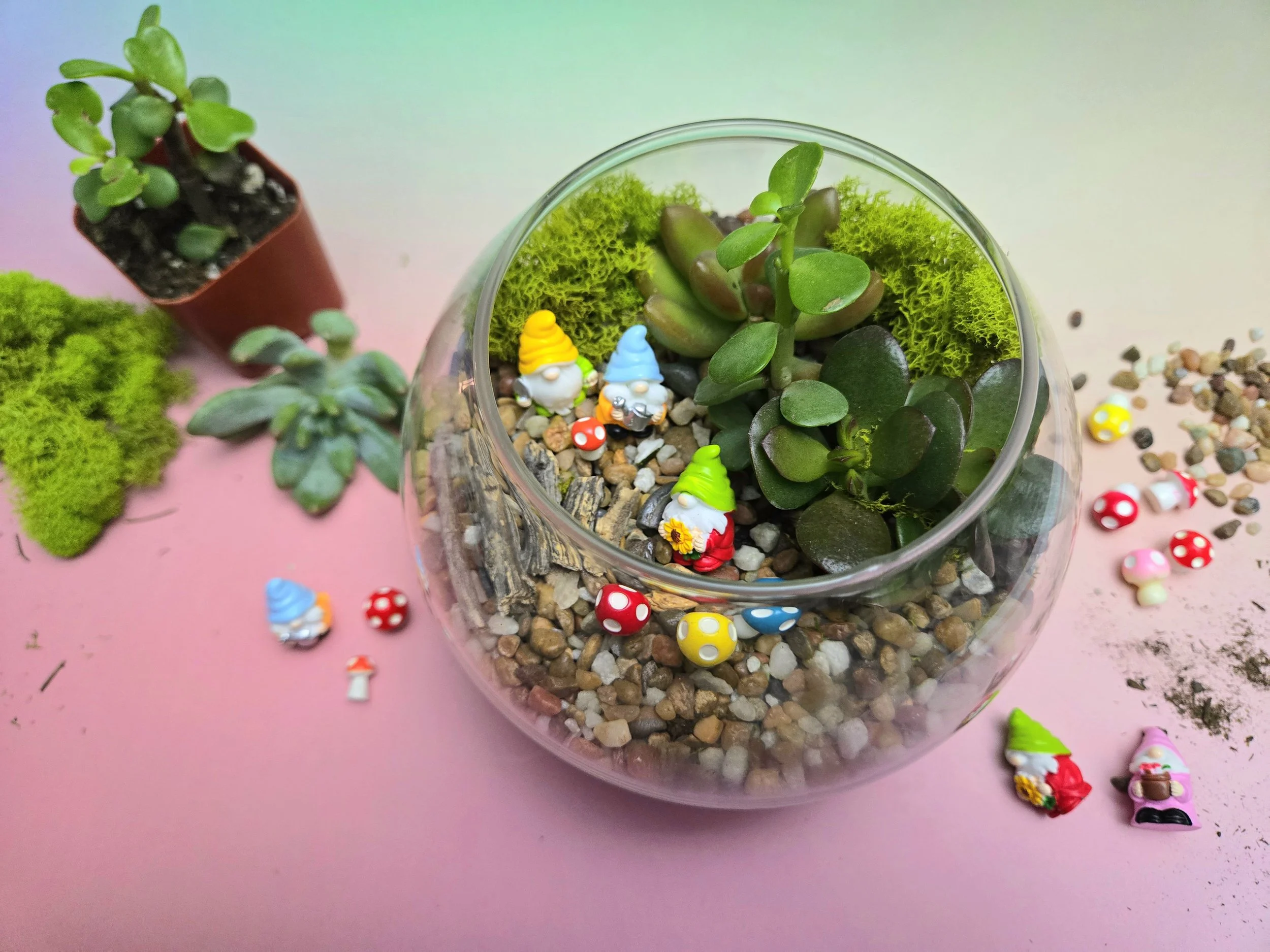 Spring Gnomes Terrarium 12.jpg