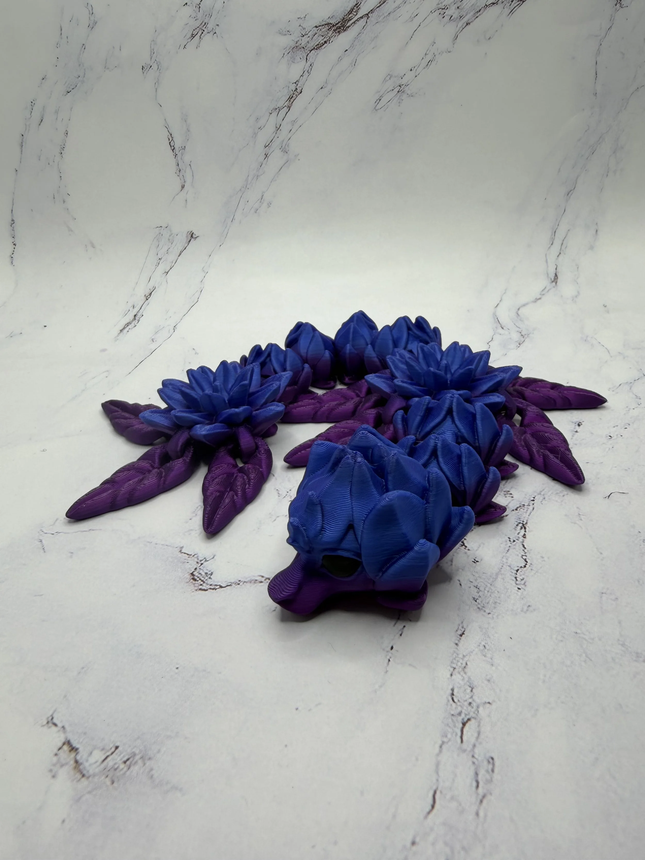 IMG_2921.jpeg (Copy)