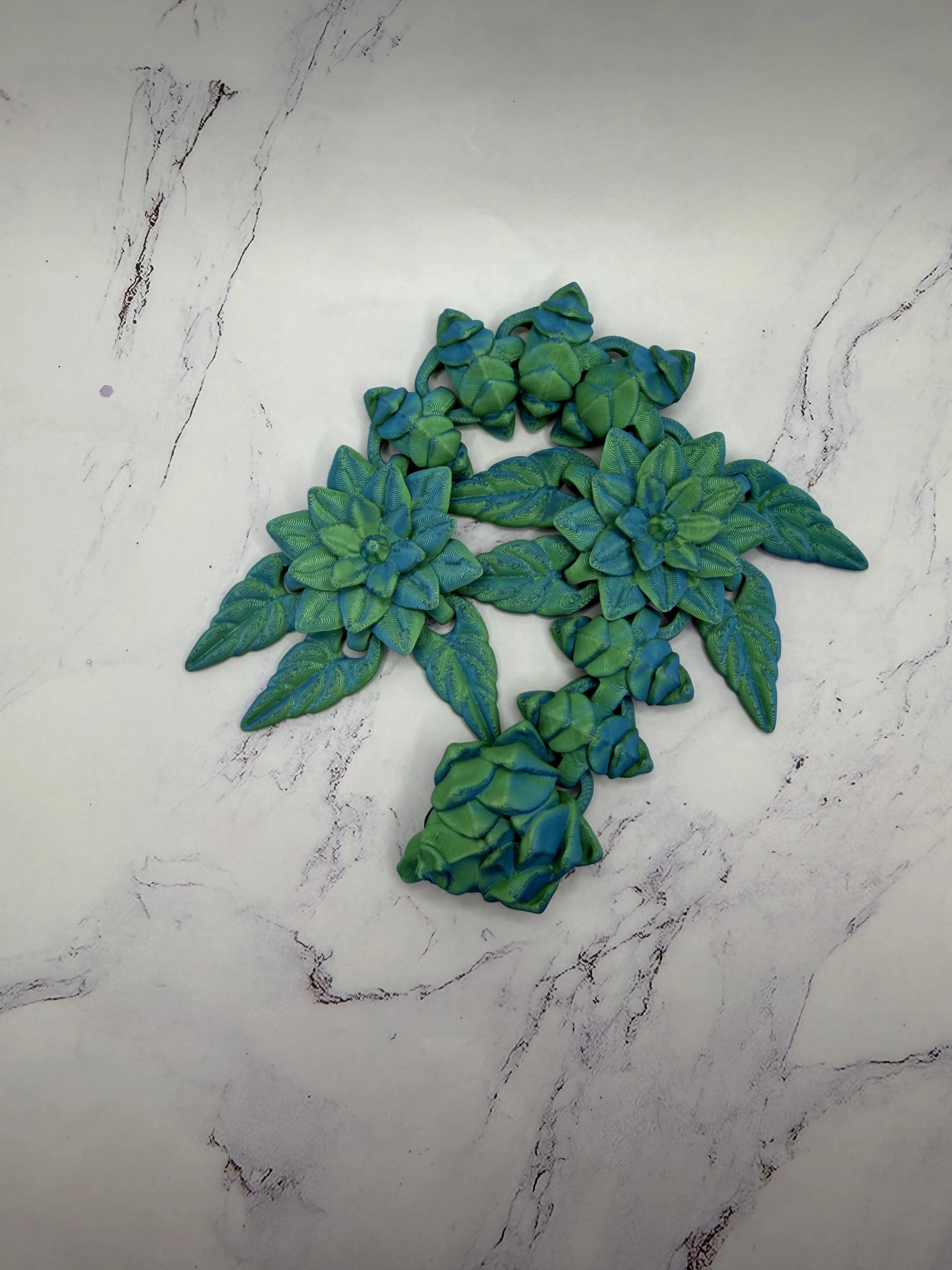 IMG_2915.jpeg (Copy)