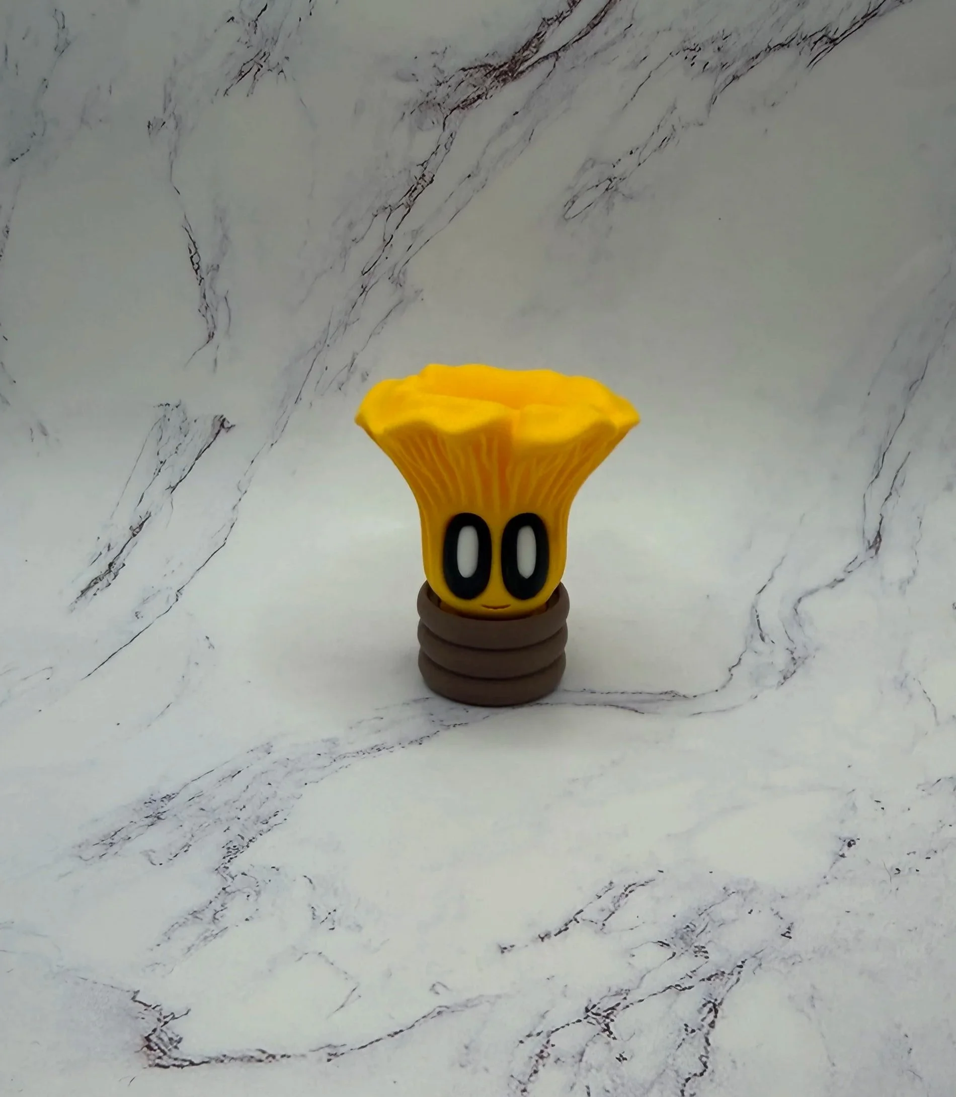 Chanterelle Mushroom