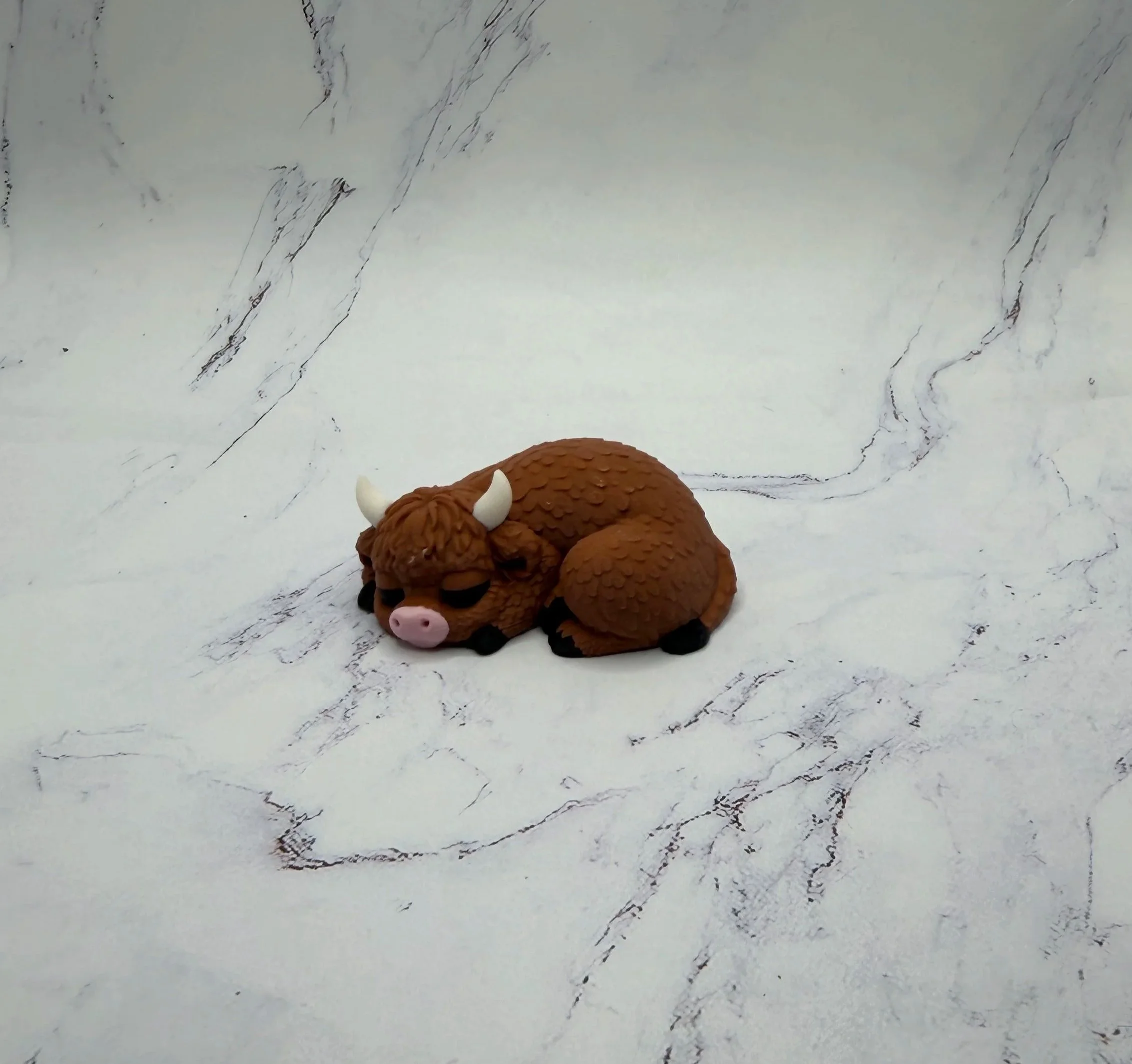 IMG_1494.jpg (Copy) (Copy) (Copy)