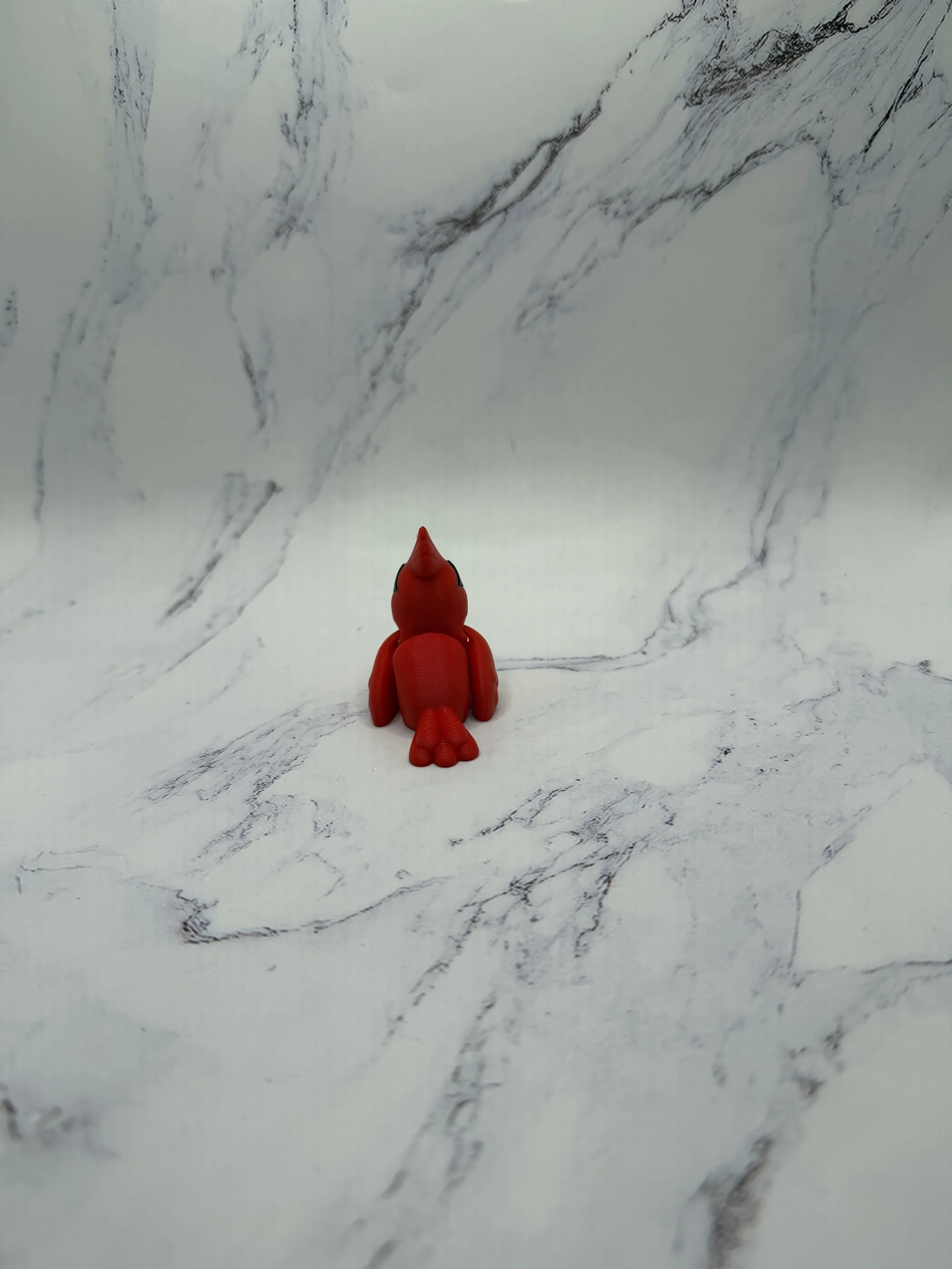 IMG_2596.jpeg (Copy)