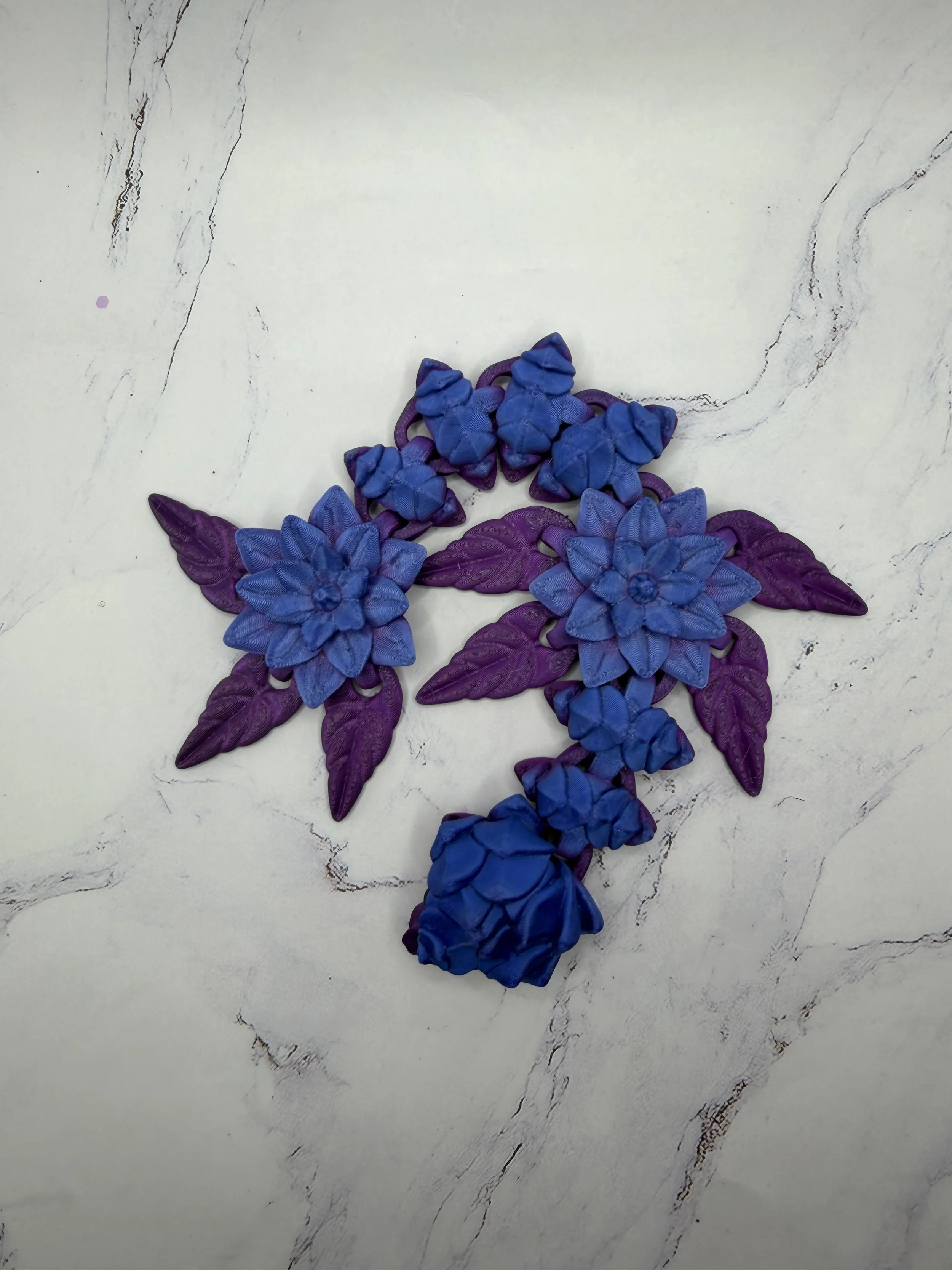 IMG_2922.jpeg (Copy)