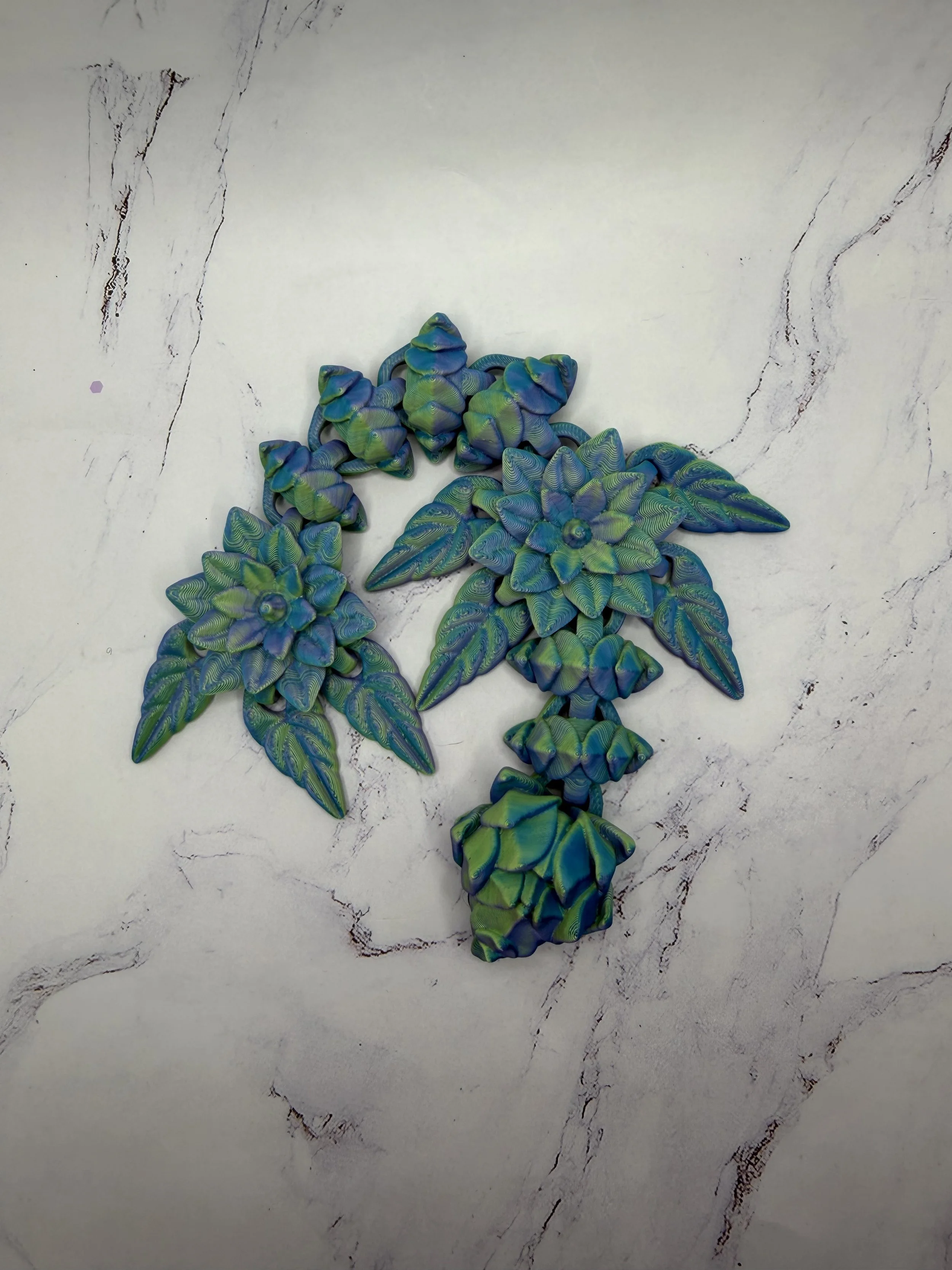 IMG_2920.jpeg (Copy)