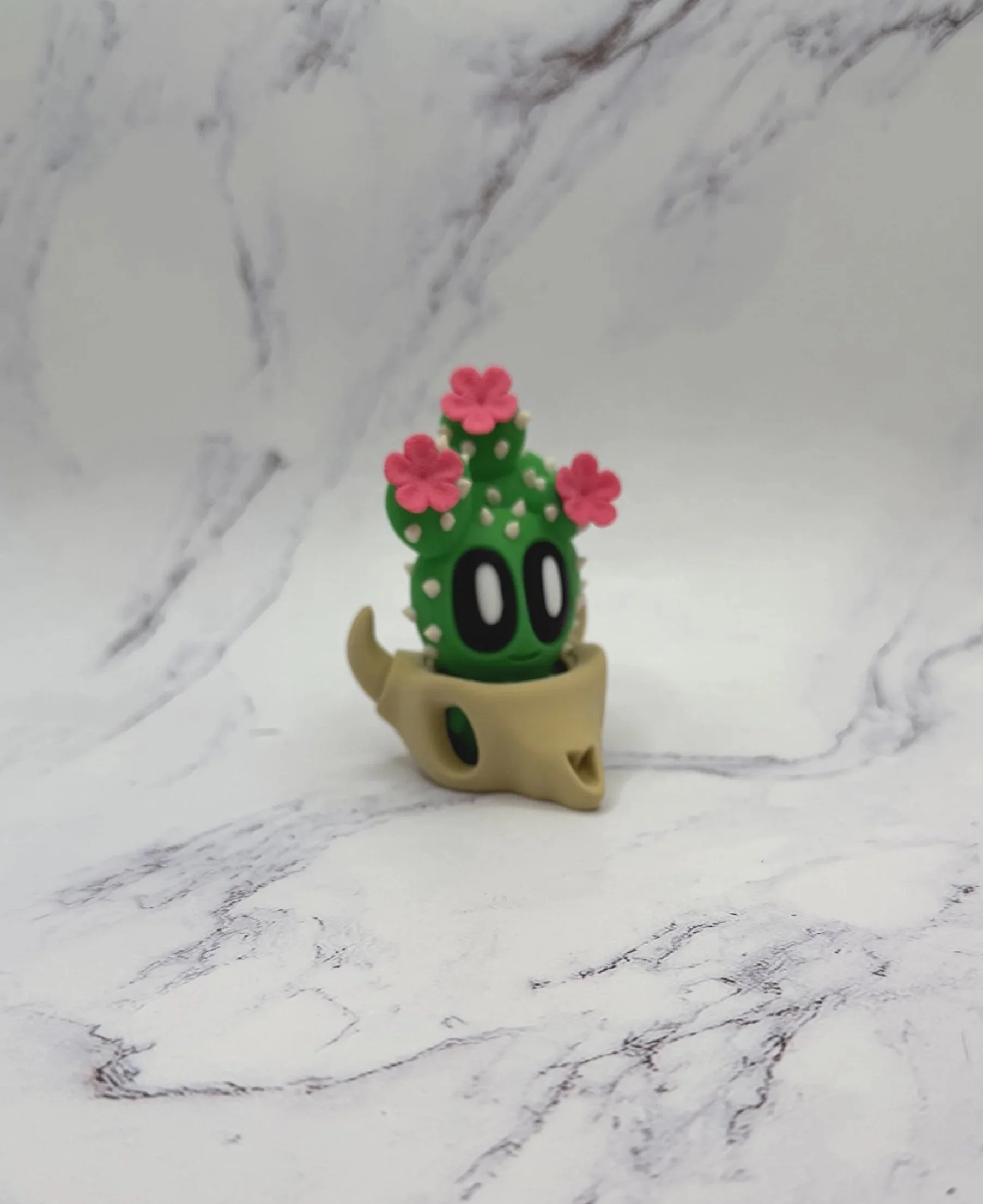 Blooming Prickly Pear Plant