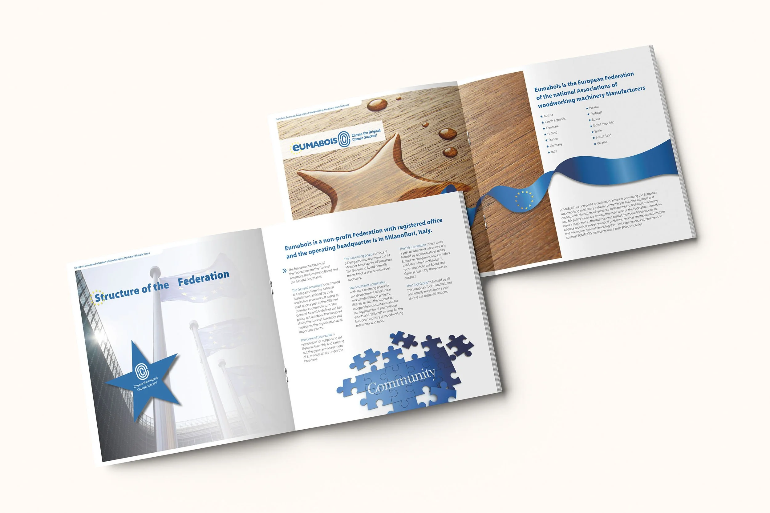 Geöffnetes Broschüremagazin einer Organisation namens EUMABOIS mit Abbildungen von Holzarbeiten und einem Puzzle, das den Begriff "Community" zeigt. Enthält Text über die Struktur und Aufgaben der Organisation, mit Details zur nicht-gewinnorientierte