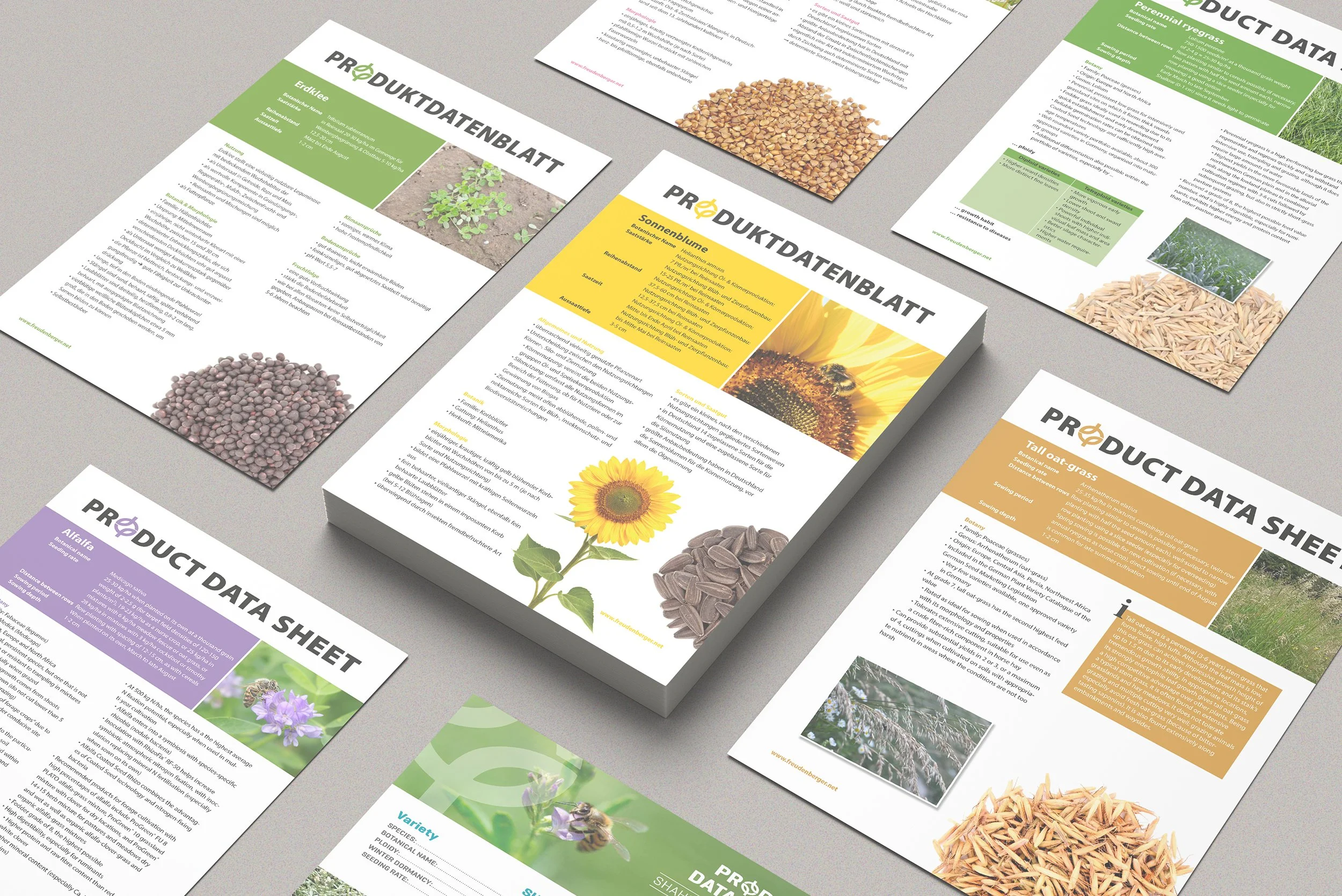Mehrere Produktdatenblätter für verschiedene Pflanzen und Samen, darunter Sonnenblume und Luzerne, auf einem grauen Hintergrund. Jedes Blatt hat spezifische Informationen über die Eigenschaften und Anwendungen der jeweiligen Pflanze.