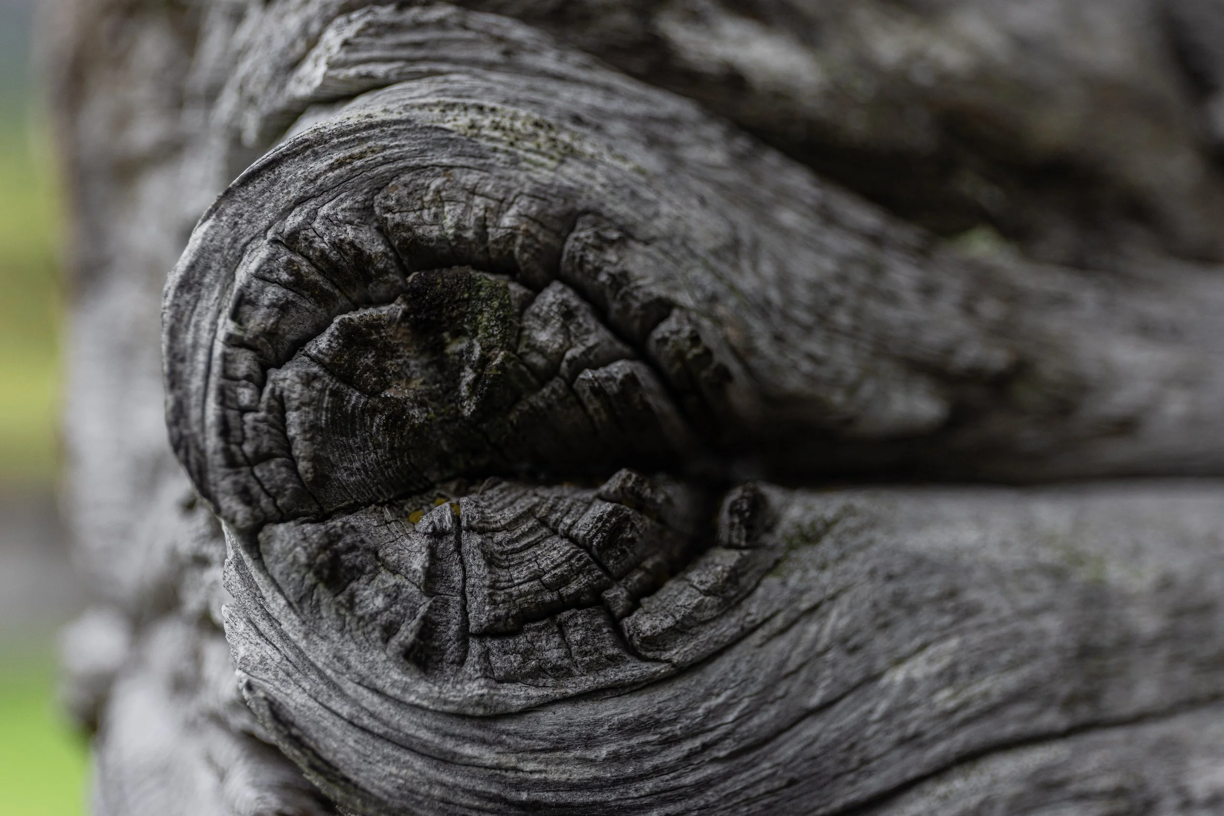 Nahaufnahme einer Holzrolle, Fokus auf das graue Holz mit Rissen und Papierstreifen.