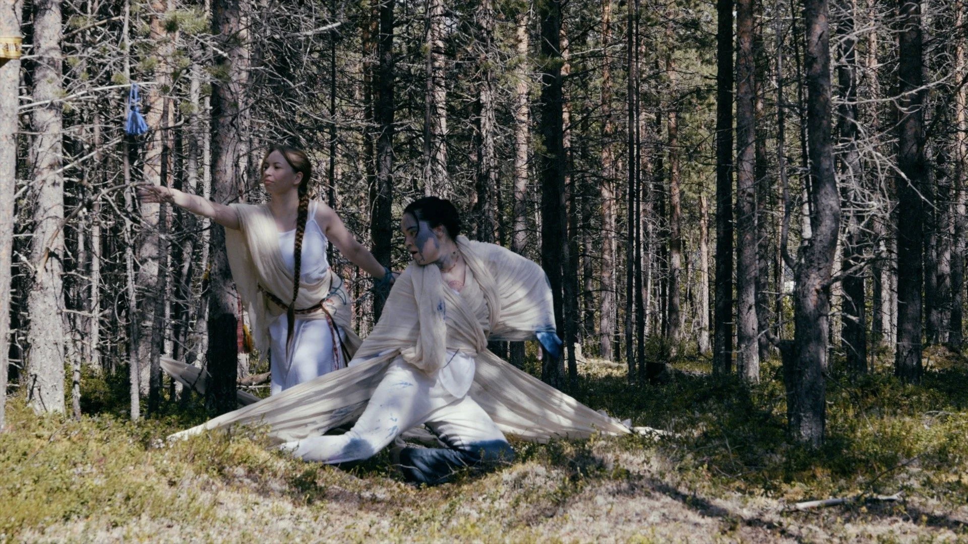 Open Call: Performance Studies in Sápmi – Performancekunstfestival