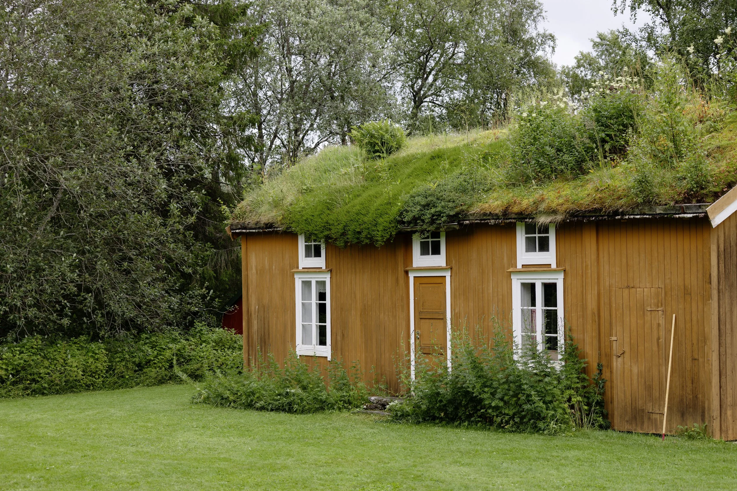 Et hus med vertikale trevegger og vinduer, og et tak dekket av grønt gress og planter, omgitt av trær og grøntområder.