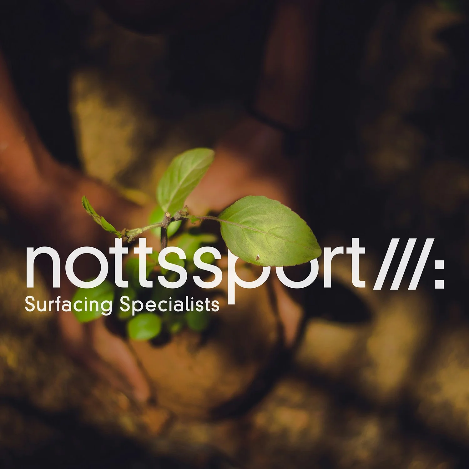 Notts Sport CO2 Emissions