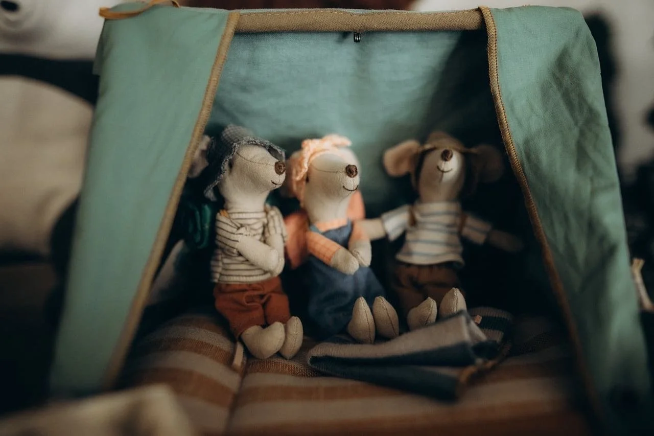 NEW IN! eis, zw&ouml;i Dr&uuml; s&uuml;essi Wanderm&uuml;s. 🐭 
#poimia #maileg #hikingmouse #everychildneedsamouse