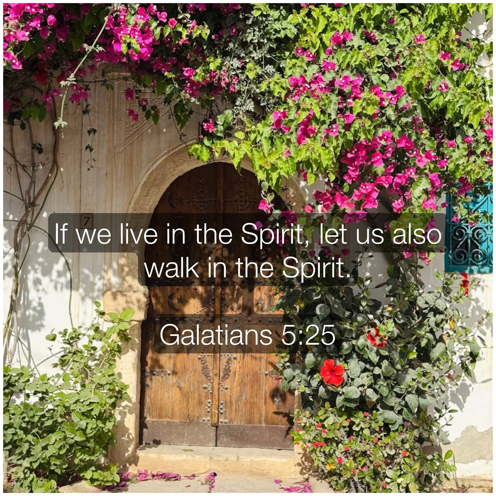 Galatians 5:25