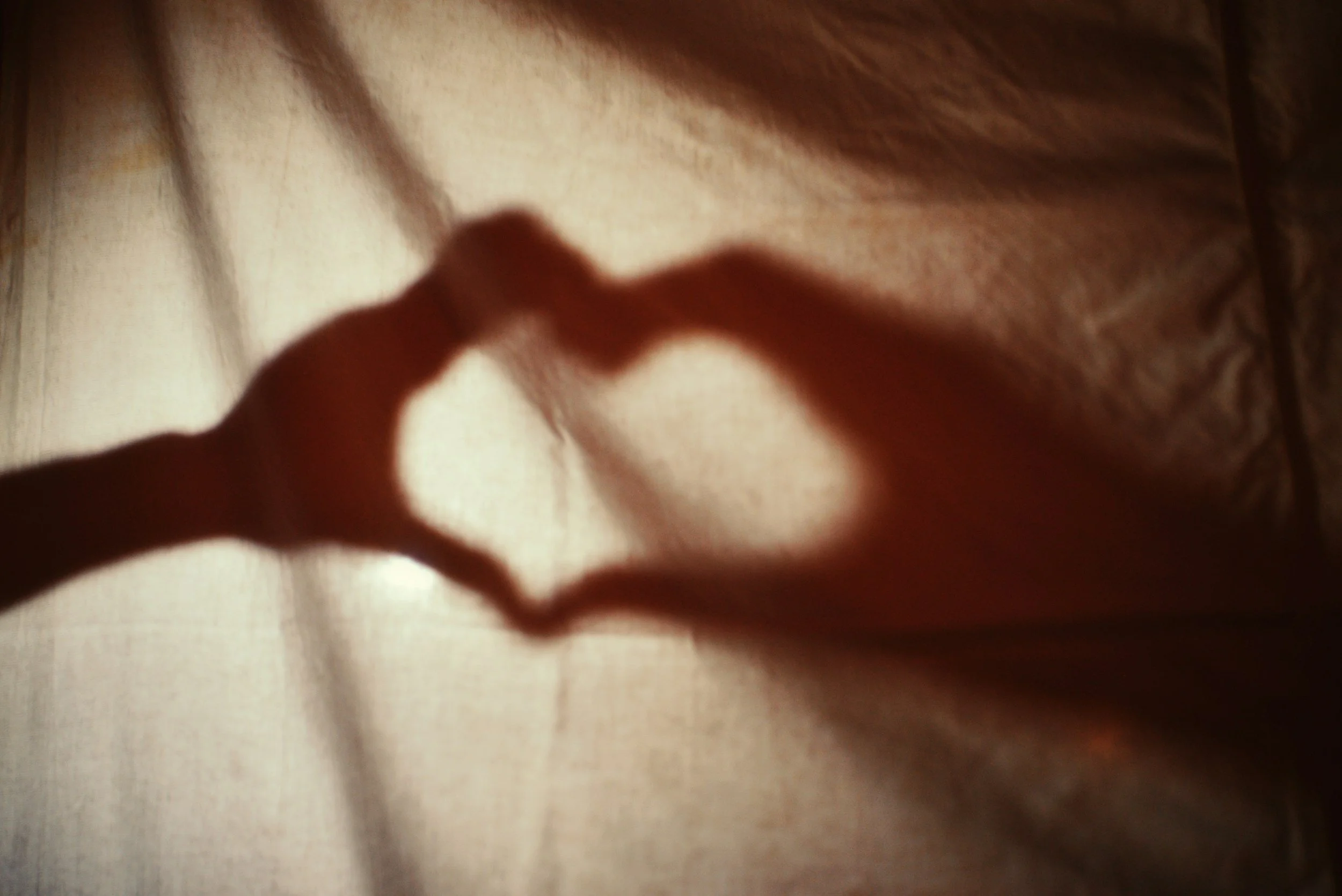 Shadow of My LOVE