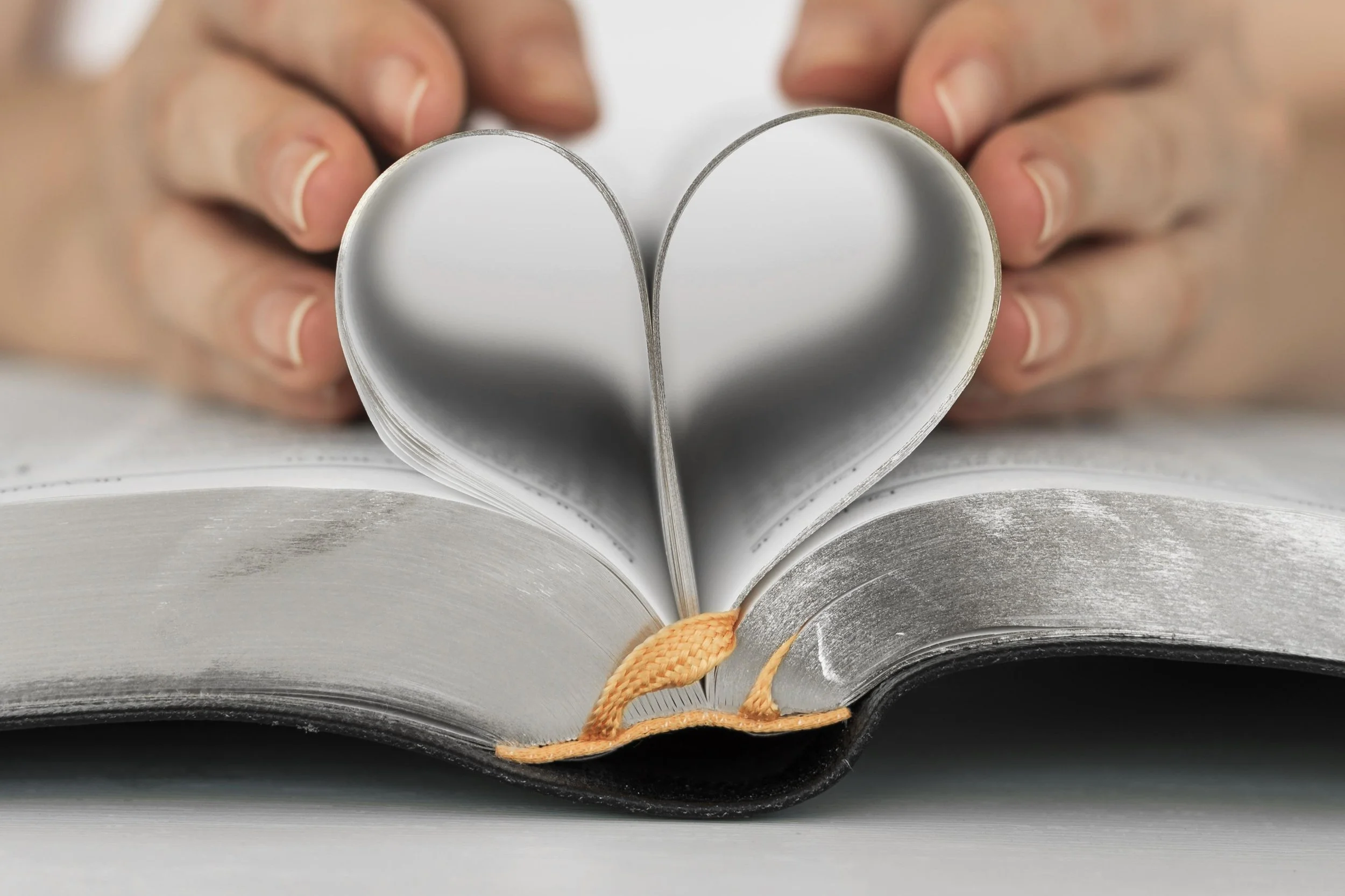 My Heart for You