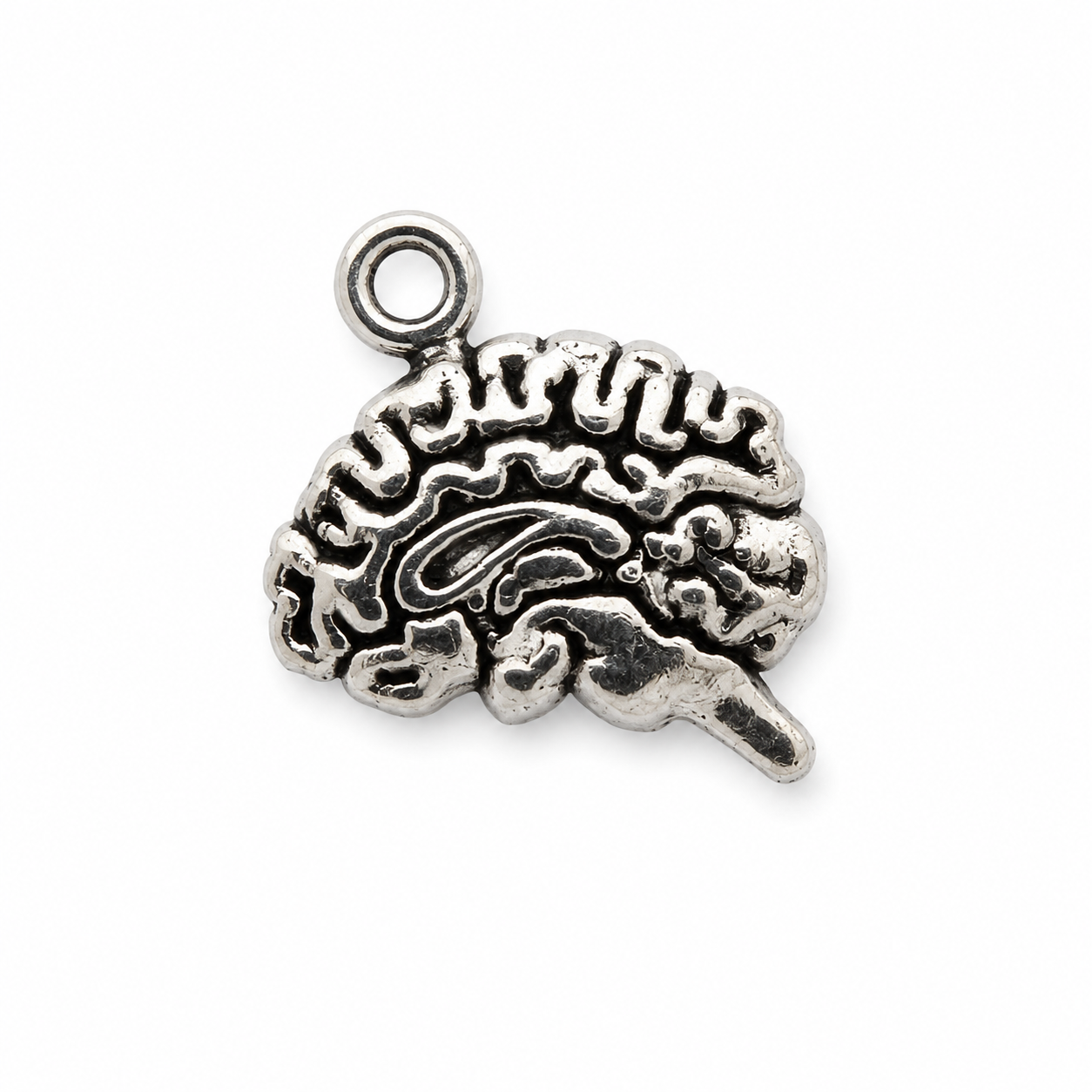 brain.png