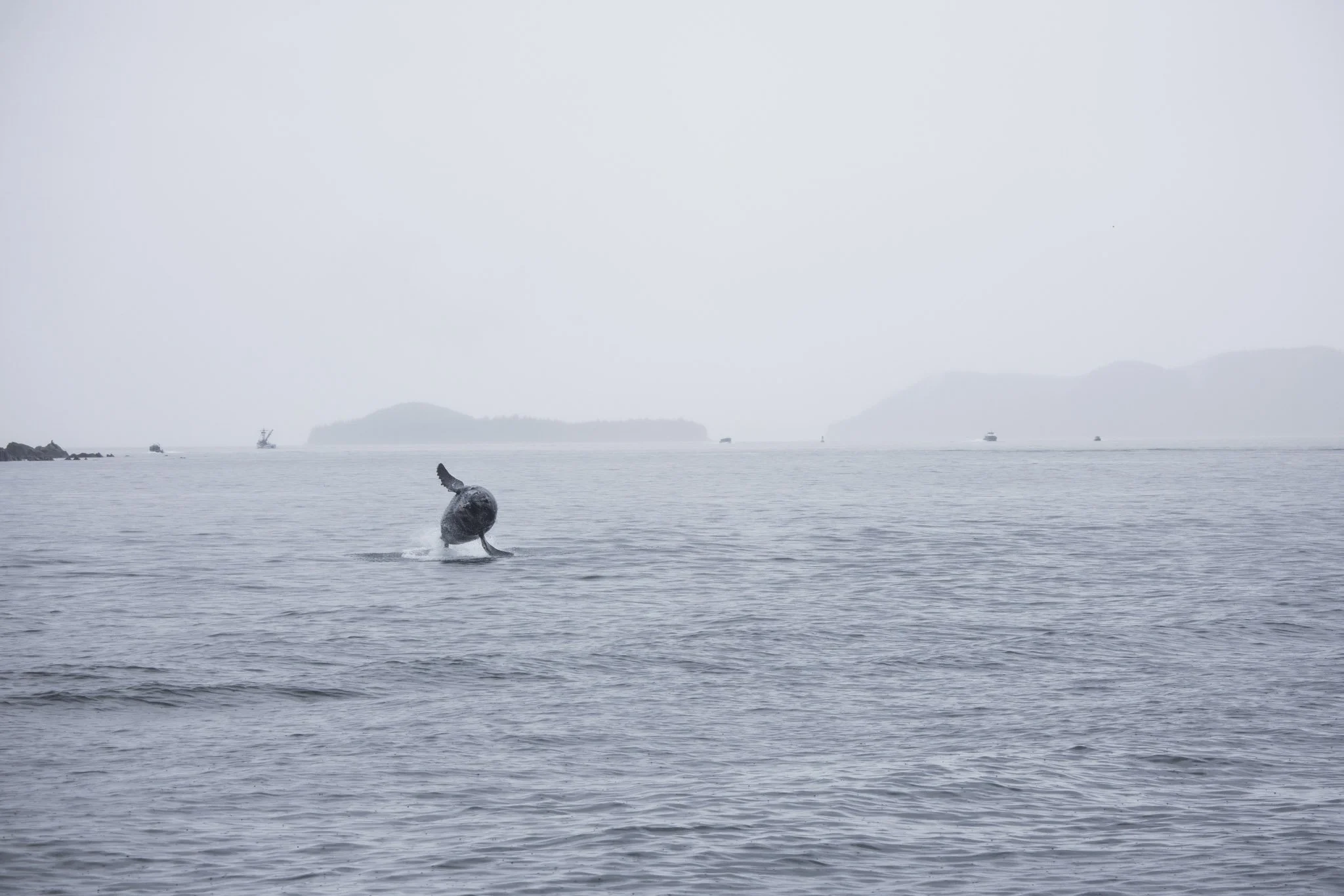 Cruise ship + expeditions-162.jpg