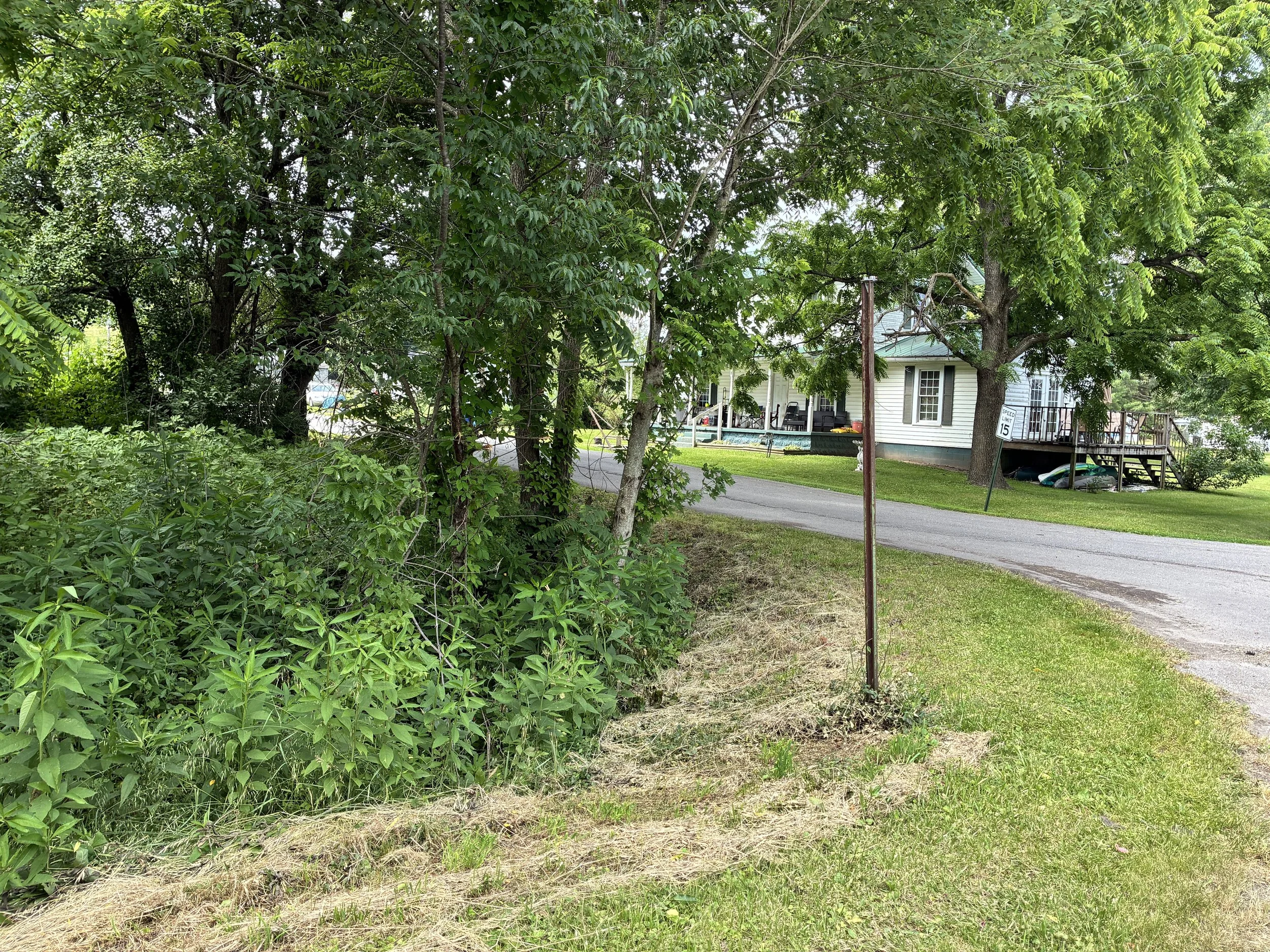 IMG_8204.JPG