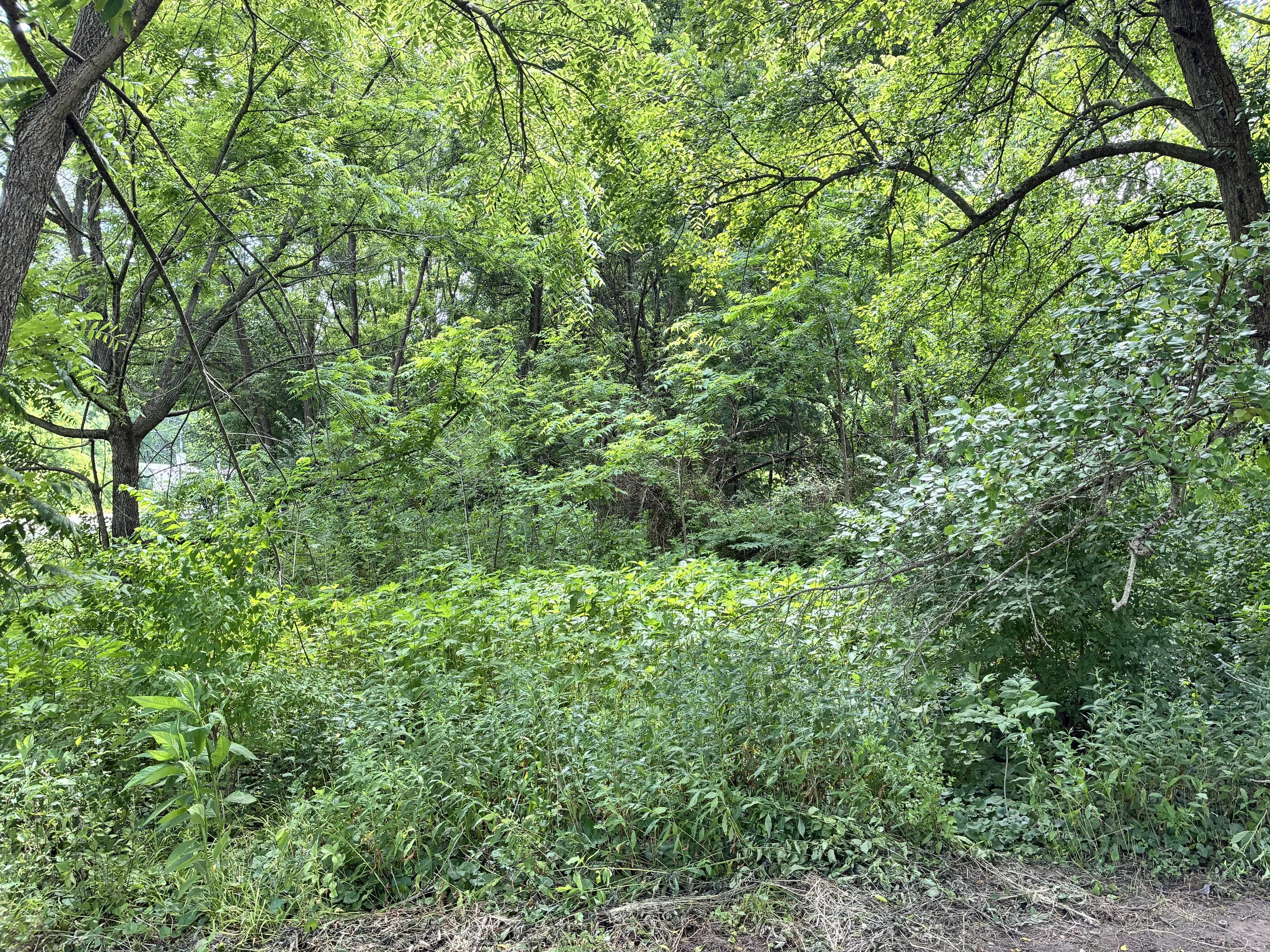 IMG_8209.JPG
