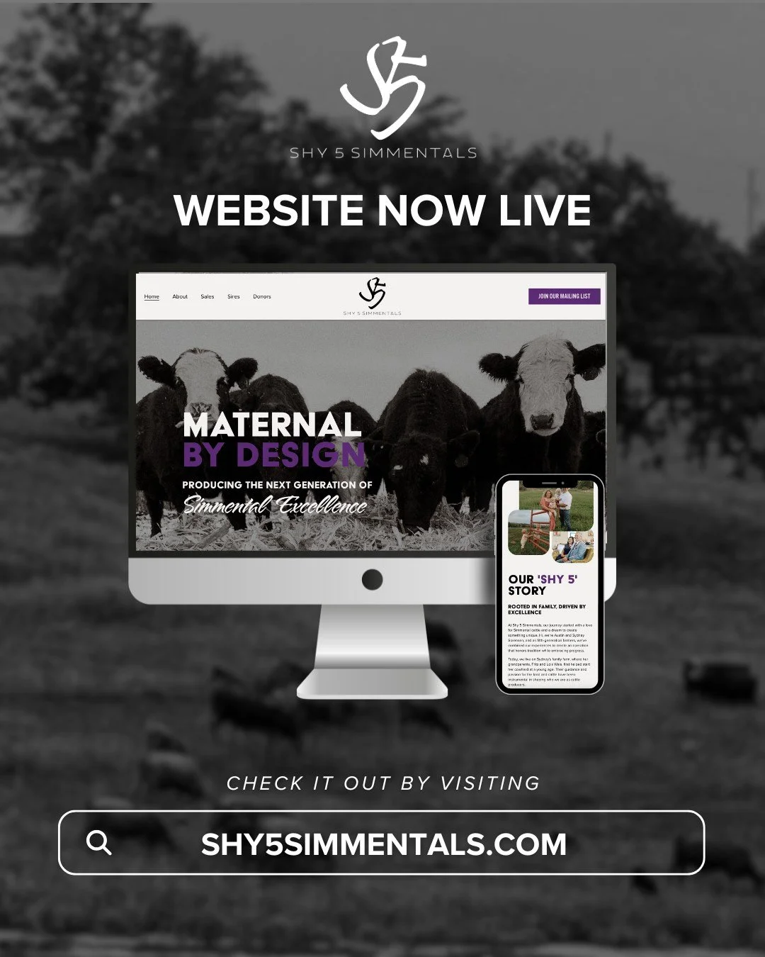 Excited to share the brand new Shy 5 Simmentals website! ✨

Designed with purpose, this site allows visitors to explore the story behind Shy 5 Simmentals, learn about their trusted Simmental genetics, and stay up-to-date on their sales in a user-frie