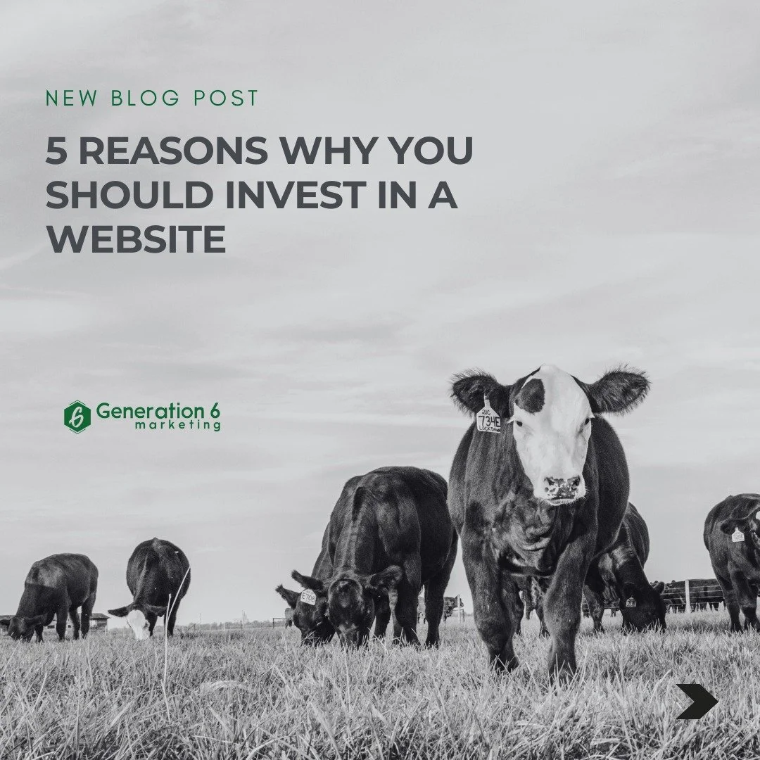 Check out our new blog on the web! 🚨

As a rancher, you&rsquo;re juggling a lot&mdash;from preg-checking cattle to weaning calves. But how can your customers find you amidst all the hustle? The answer &rarr; a website!

Check out the 5️⃣ main reason