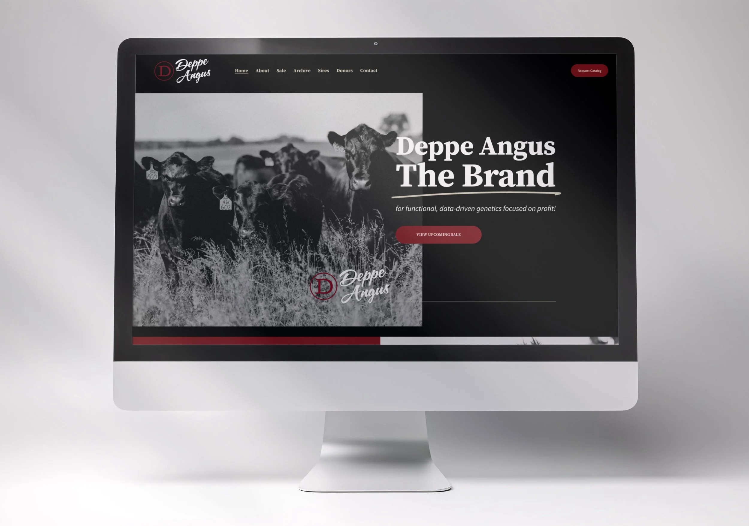 Deppe Angus