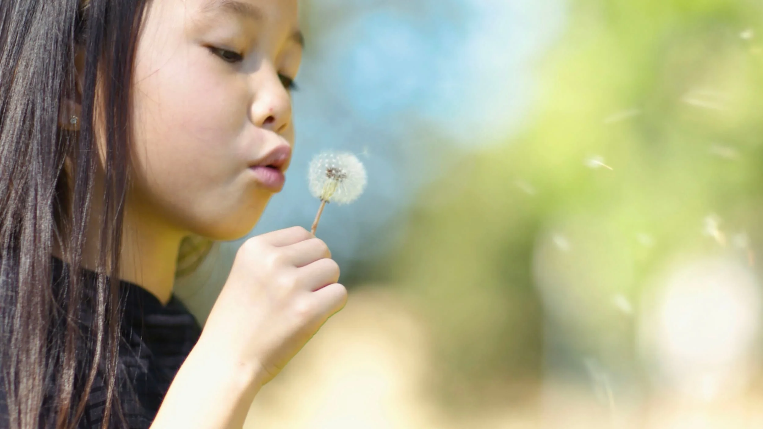 Child blowing on a dandelion against a blurred green background.
