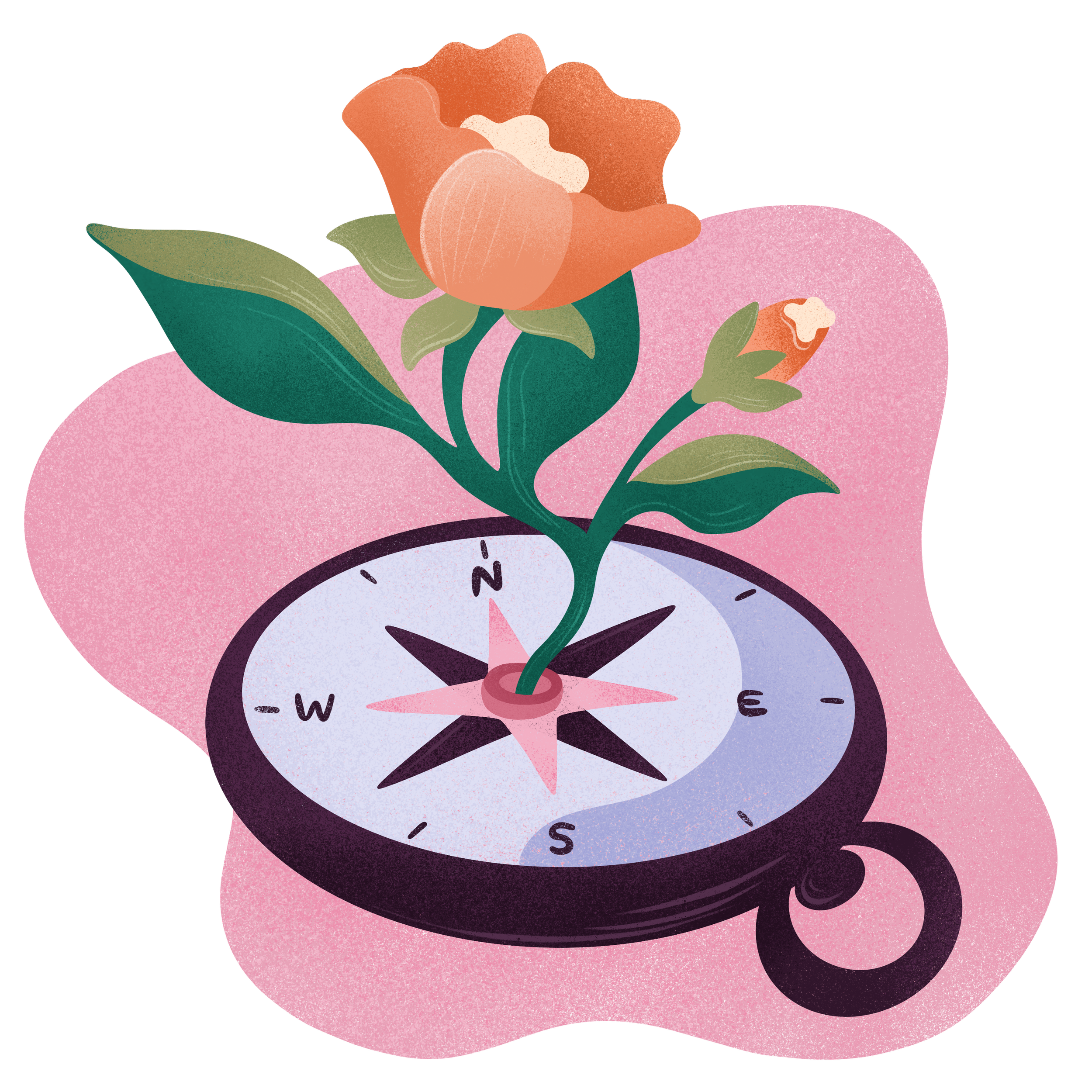 a flower blooms out of a compass